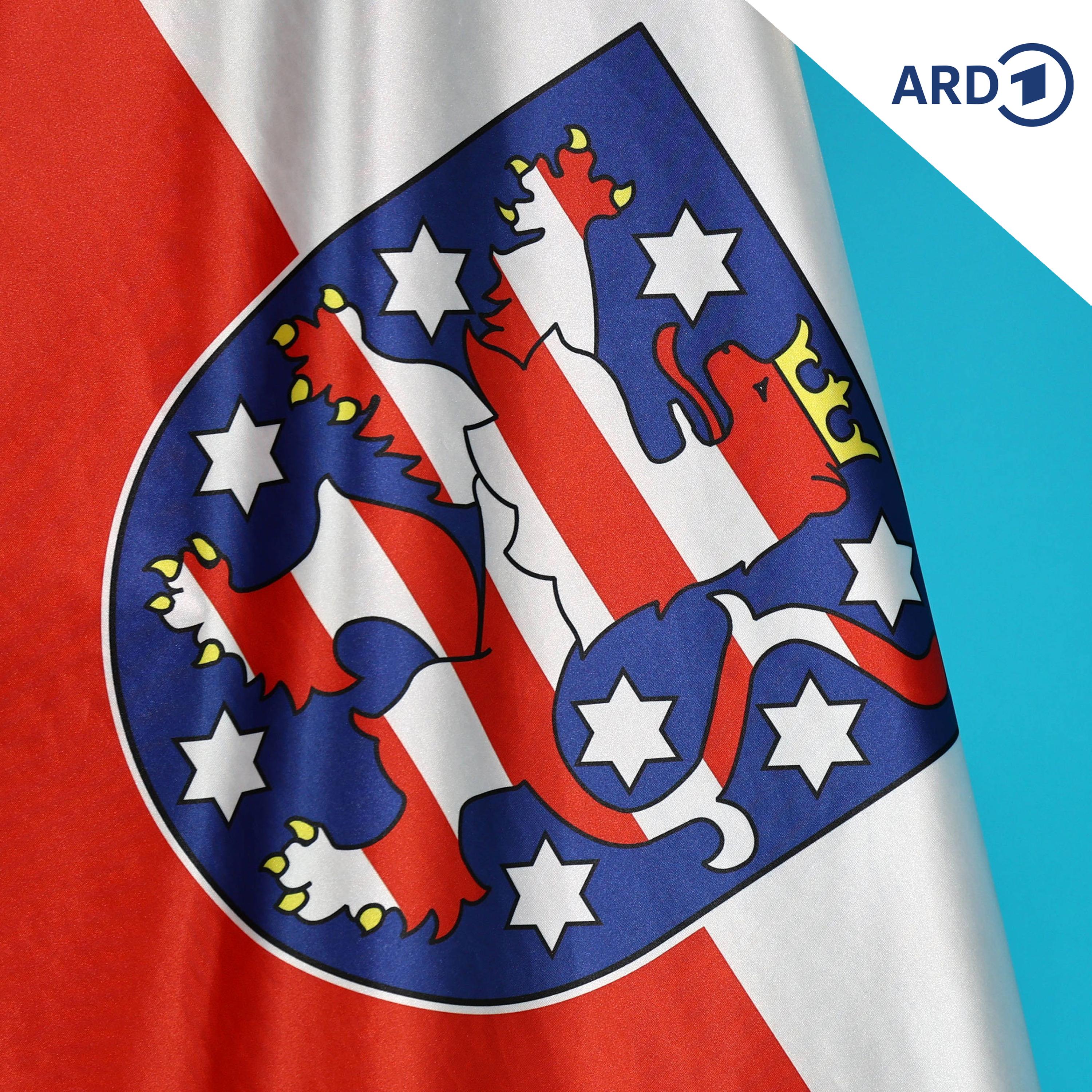 Thüringer Bürgerrat nimmt Arbeit auf episode artwork