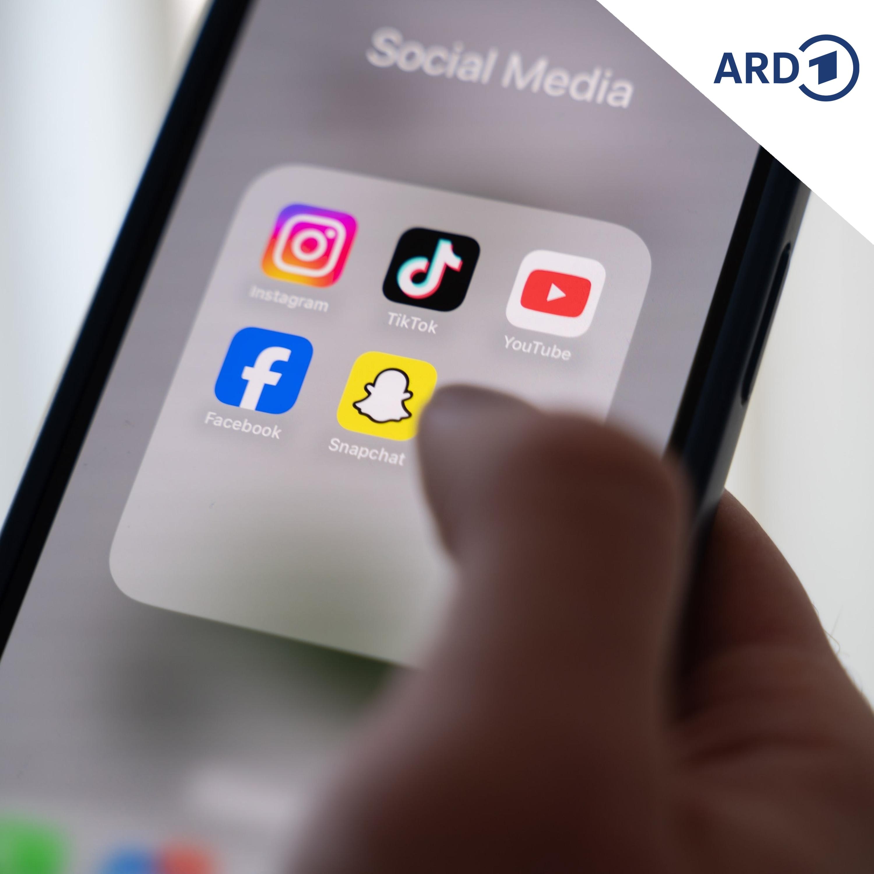 Influencer mischen sich in Streit an Dessauer Schule ein episode artwork
