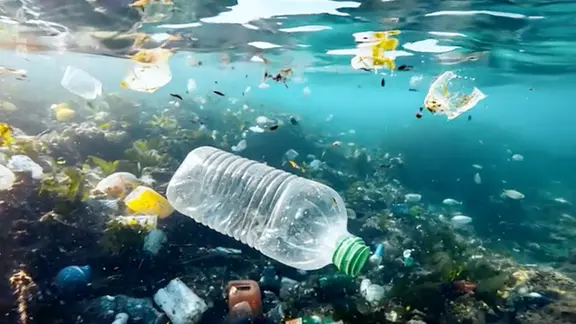 Plastikverschmutzung im Meer