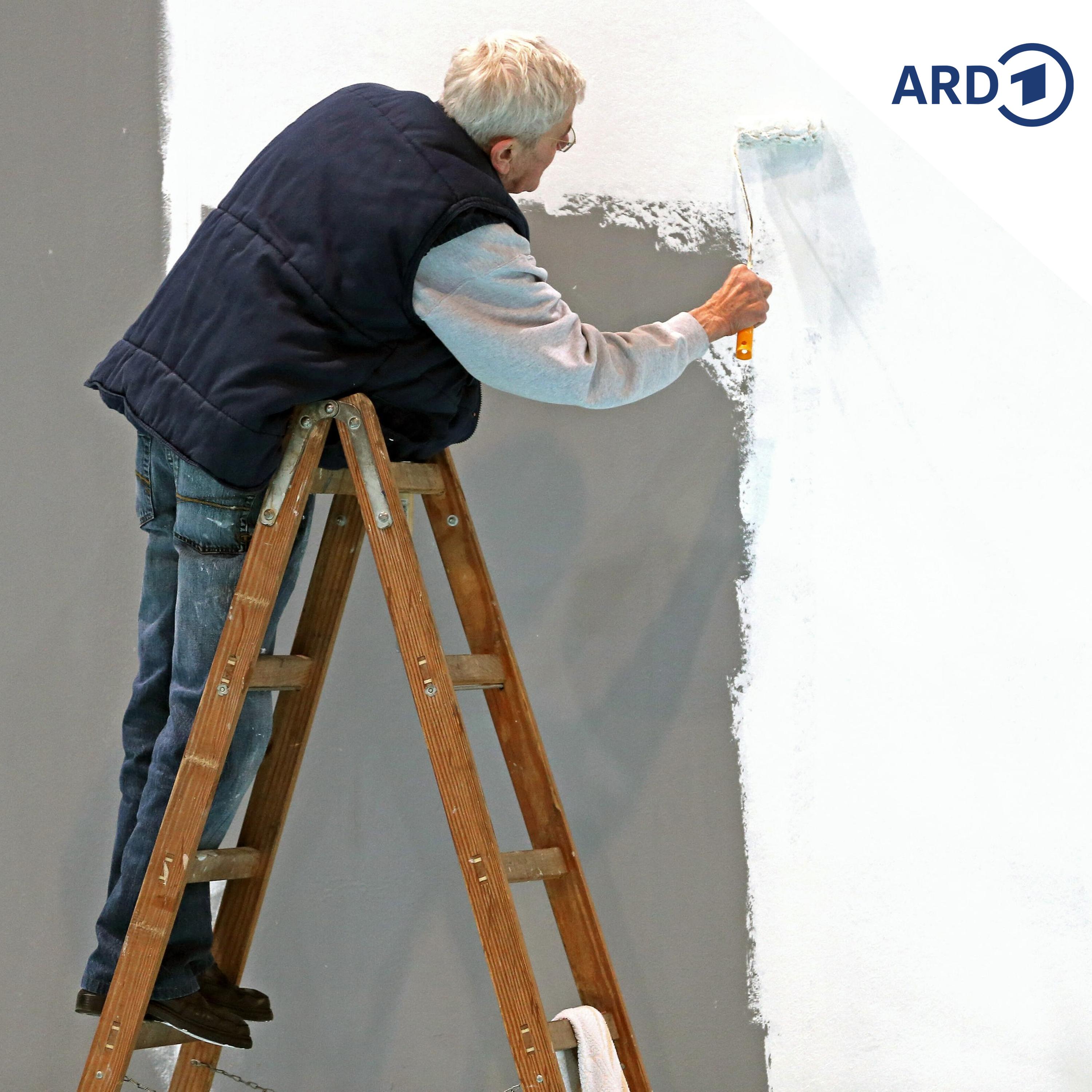 Warum viele Rentner weiter arbeiten gehen episode artwork