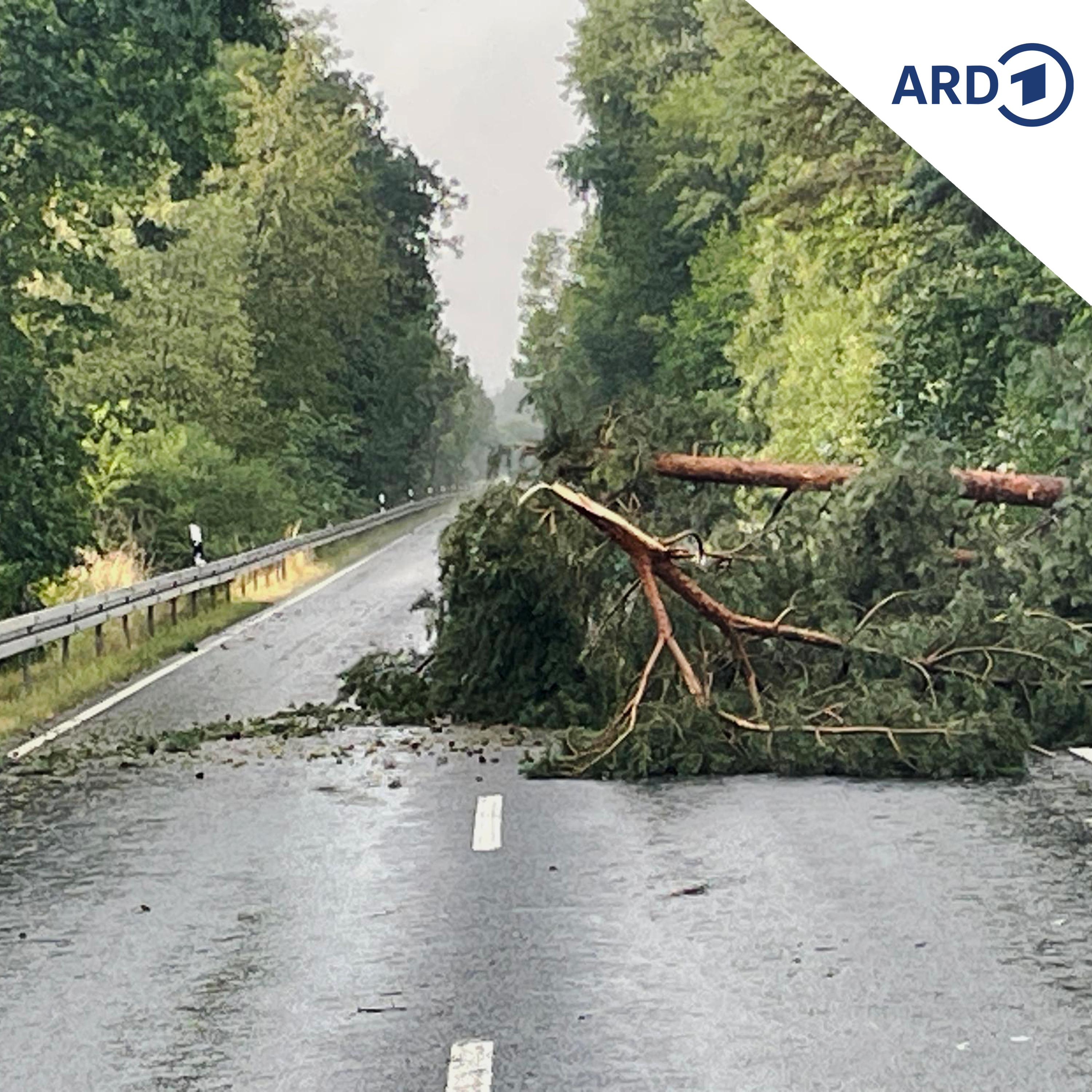 Nachrichten des Tages vom 15.07.2026