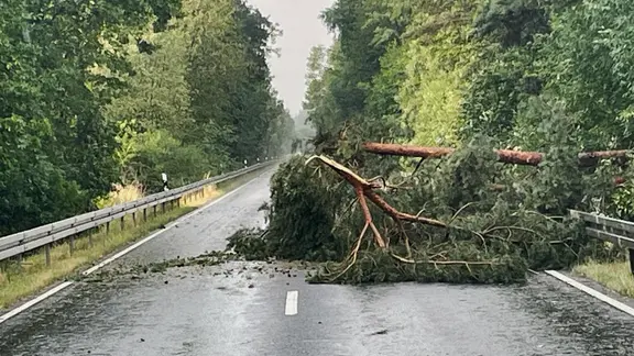 Baum liegt auf einer Bundesstraße