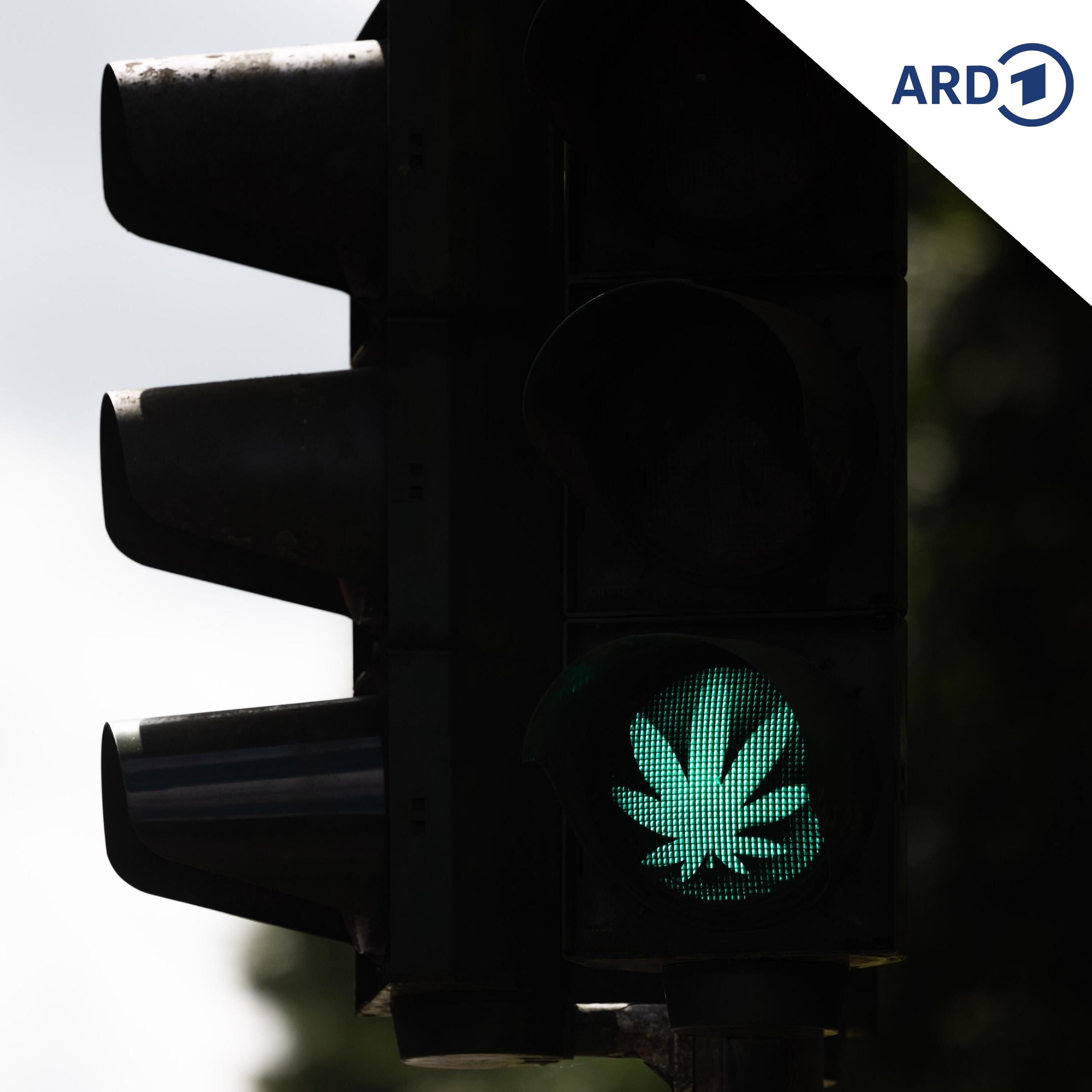 Drogi, cannabis a wosobinski dóńt episode artwork