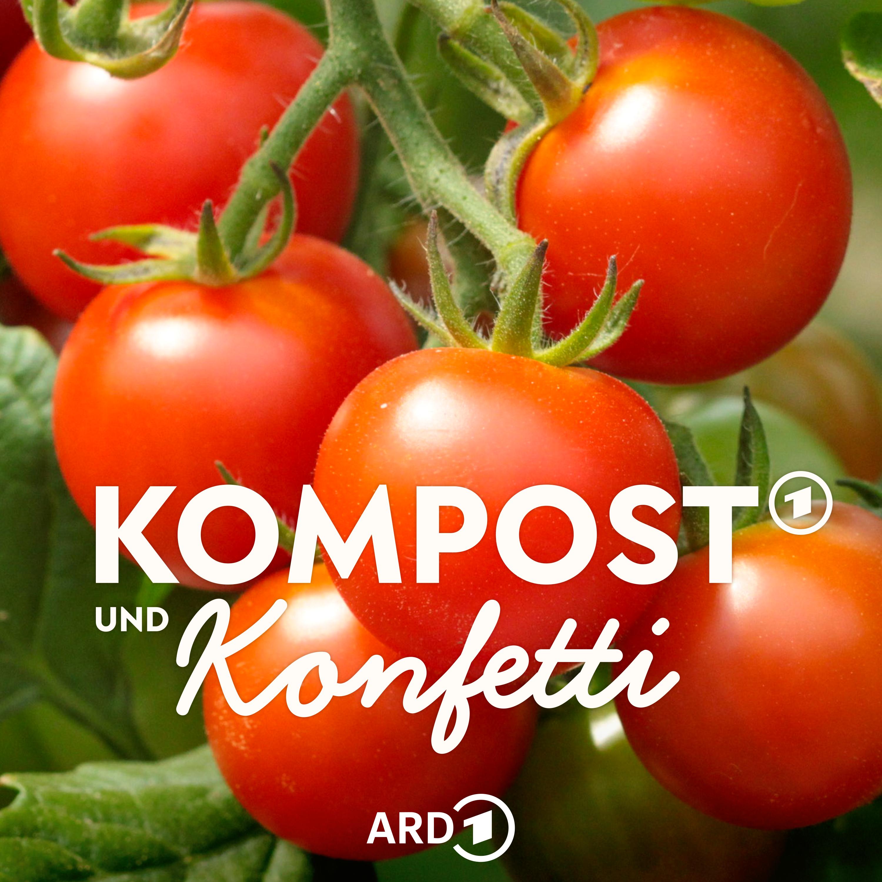 So gelingt eine tolle Tomaten-Ernte episode artwork