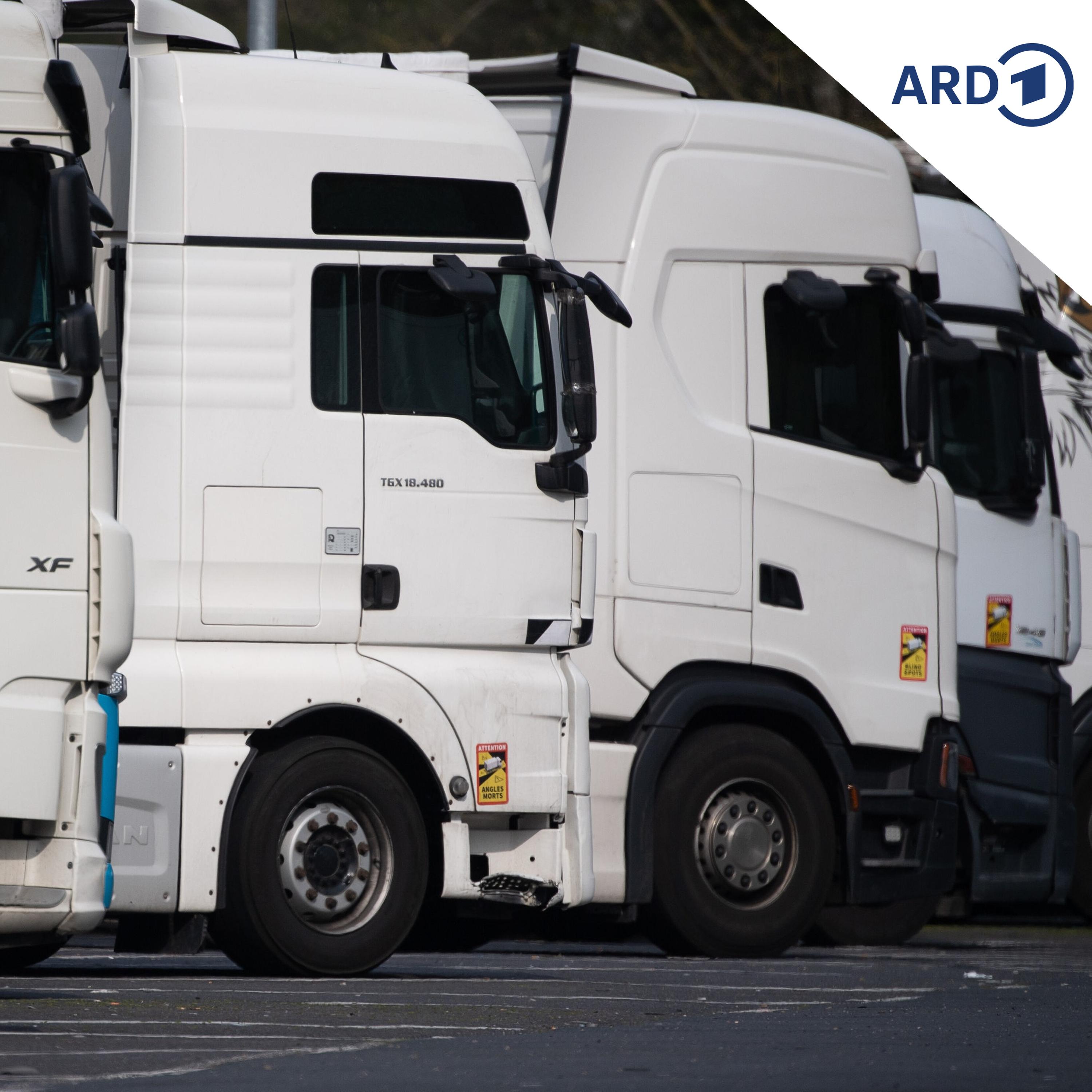 Sonntagsfahrverbote für Lkw: Logistikbranche pocht auf einheitliche Regeln episode artwork