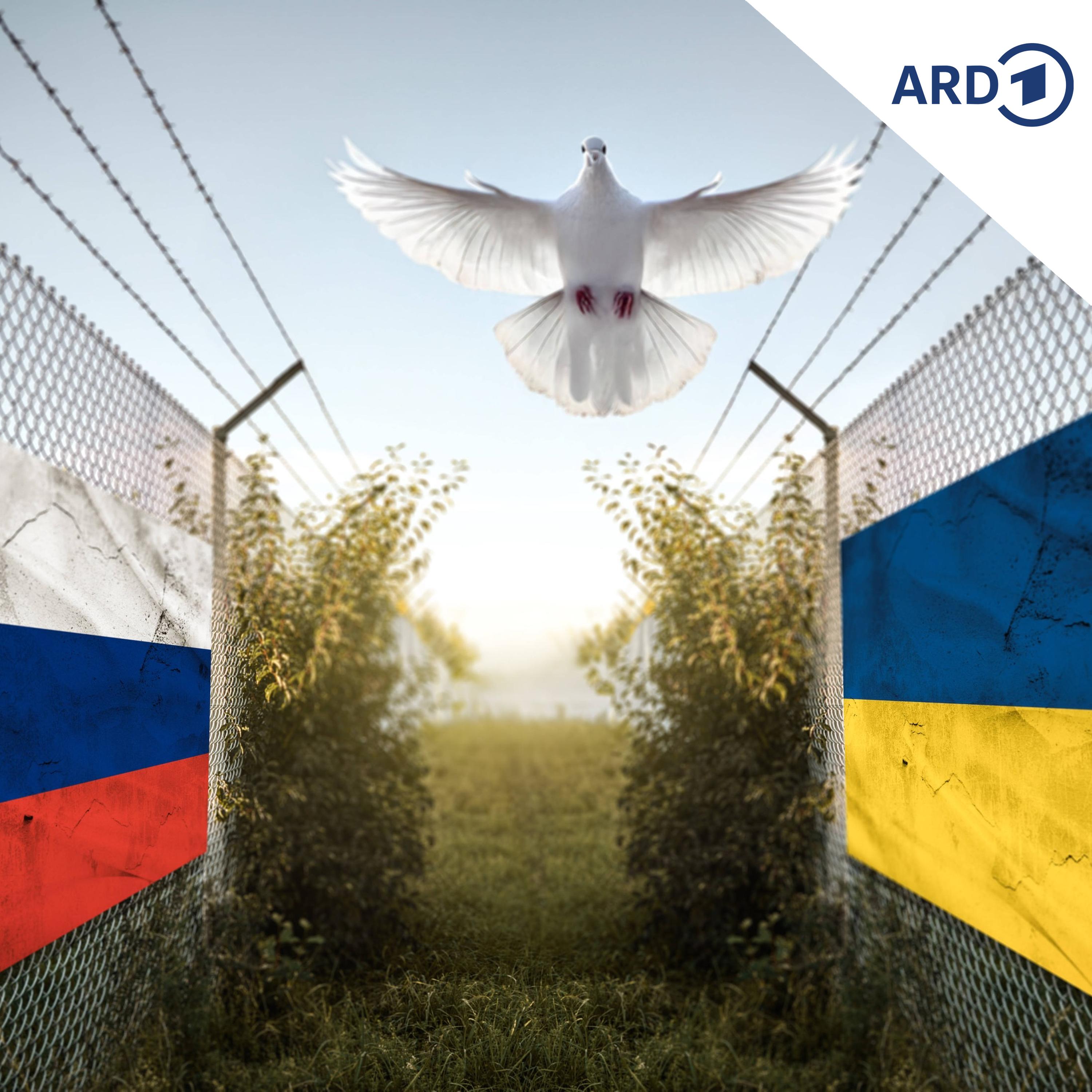 Frieden in der Ukraine nur mit ausländischen Truppen? episode artwork