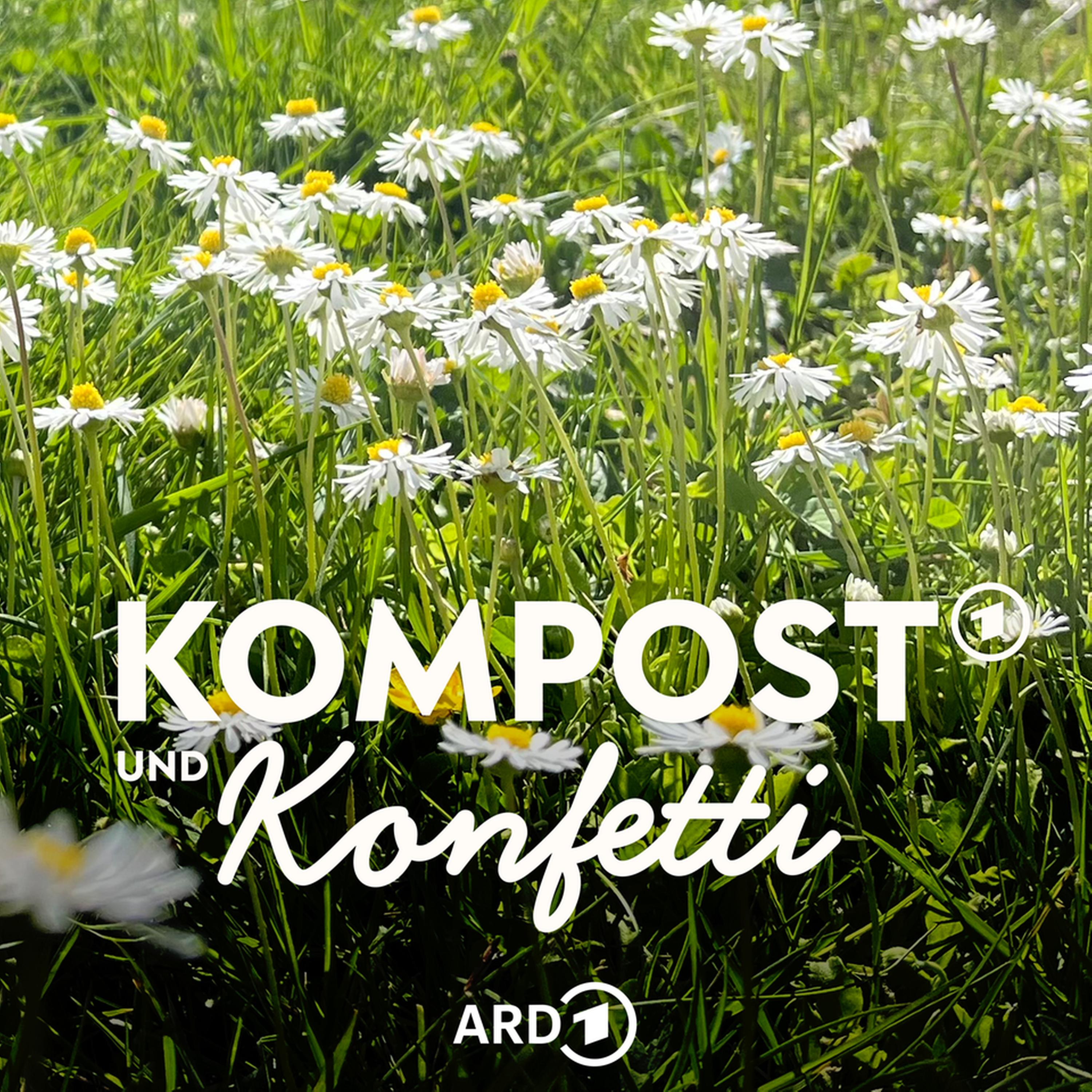 Rasen im Frühling - mit René Wadas episode artwork
