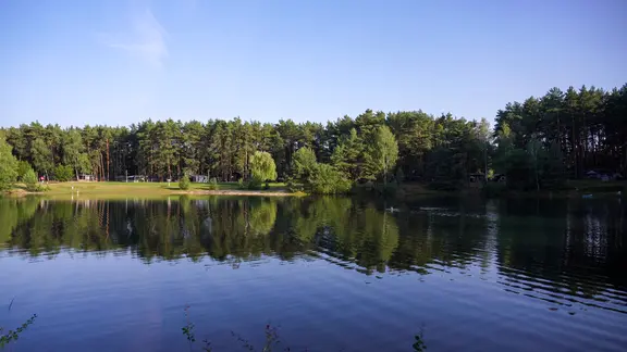 Waldbad Niesendorf, Camping