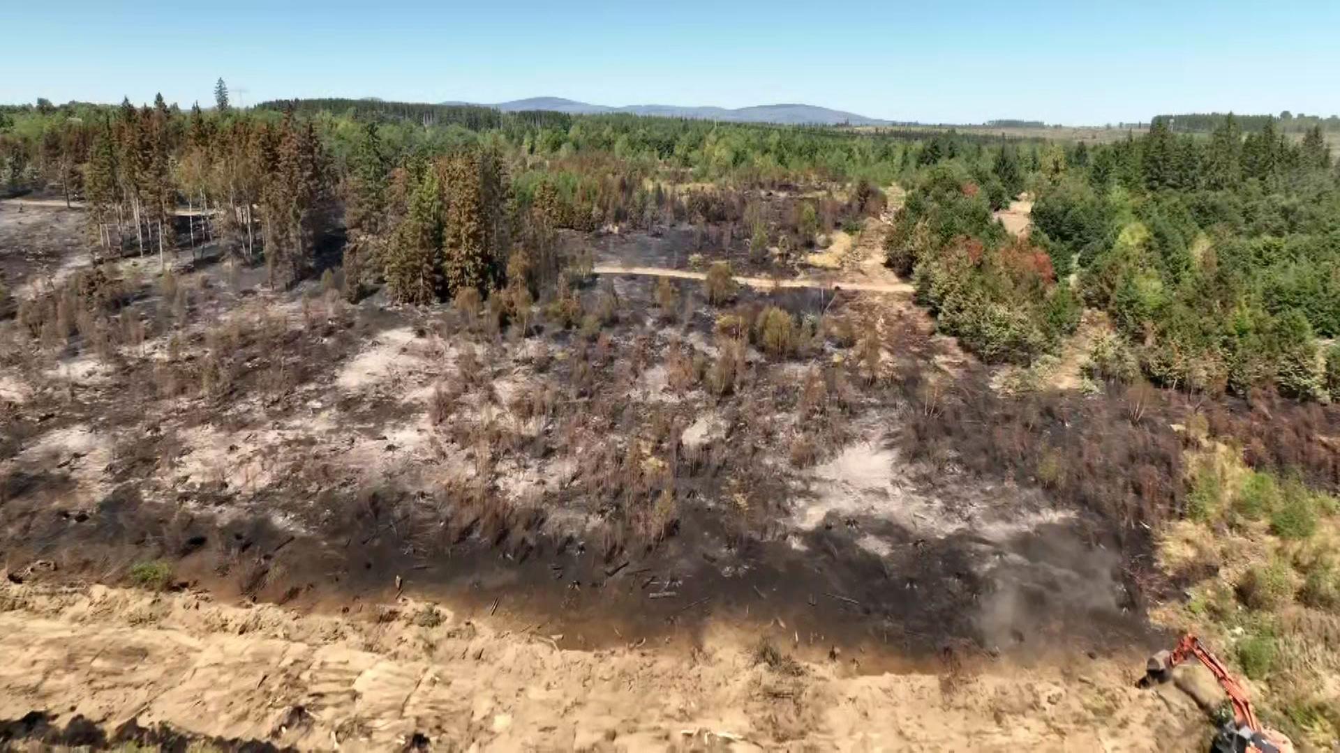 Waldbrandgefahr in Sachsen-Anhalt: Fast 60 Brände seit Beginn der Saison