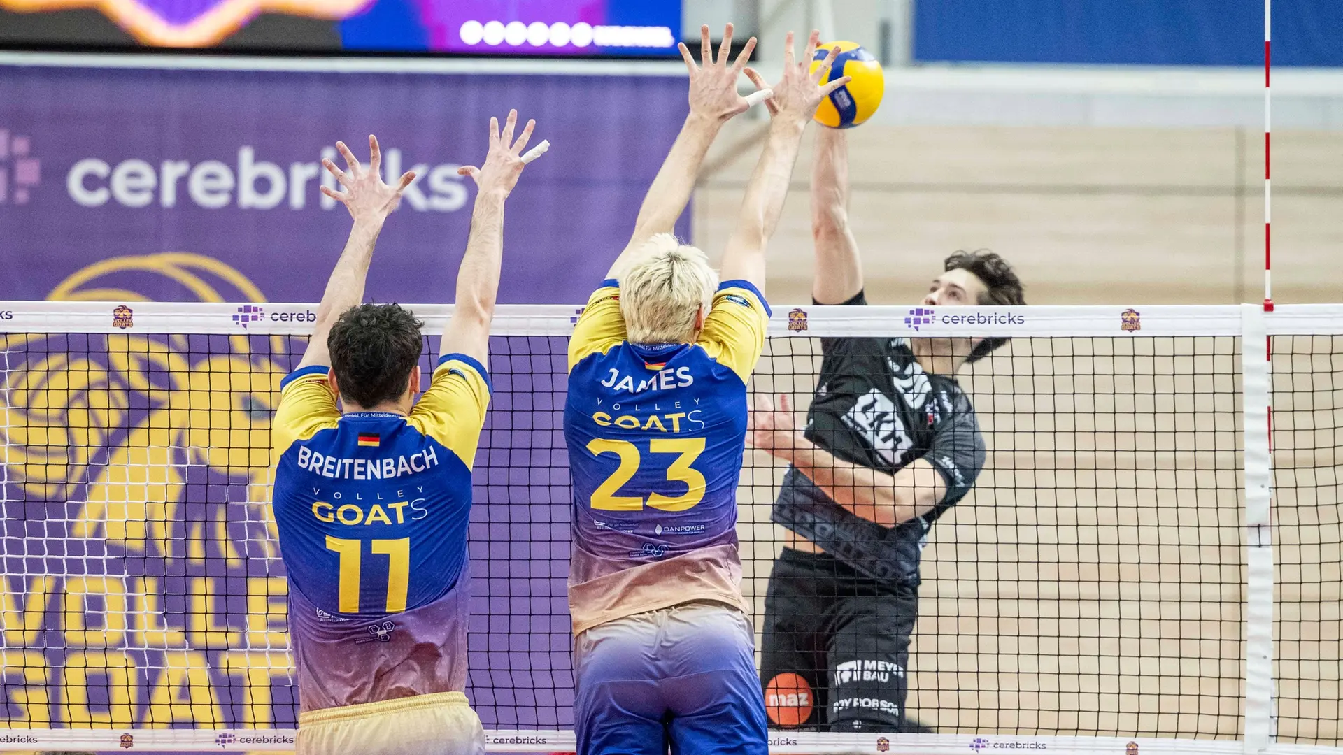 Spitzenreiter Lüneburg eine Nummer zu groß für die Cerebricks Volley ...