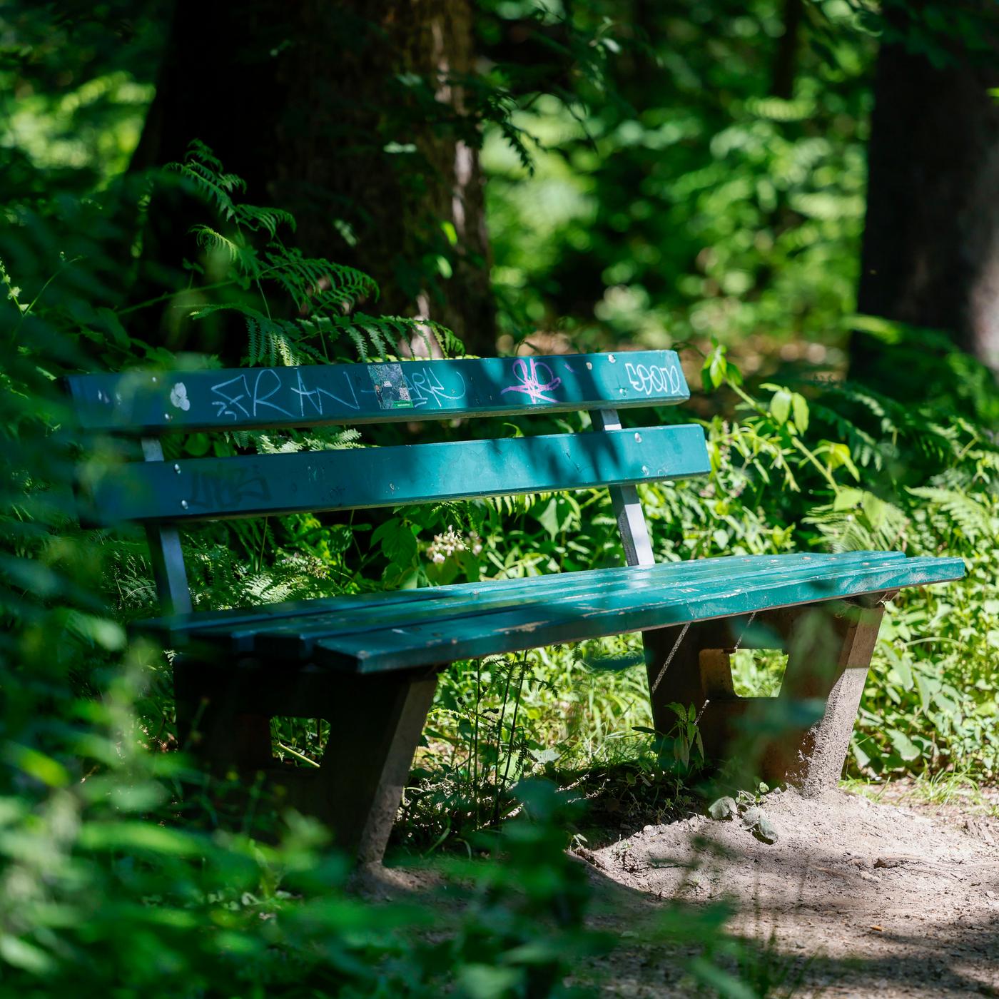 Warum immer mehr Sitzbänke im Wald verschwinden