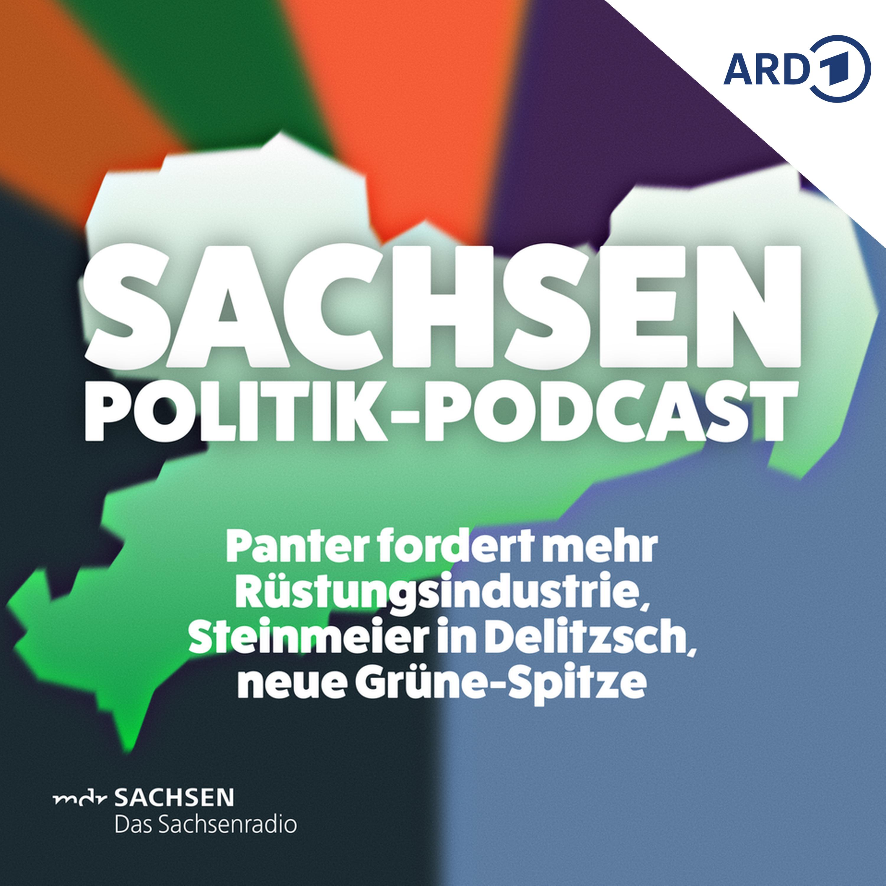 Panter fordert mehr Rüstungsindustrie, Steinmeier in Delitzsch, neue Grüne-Spitze episode artwork