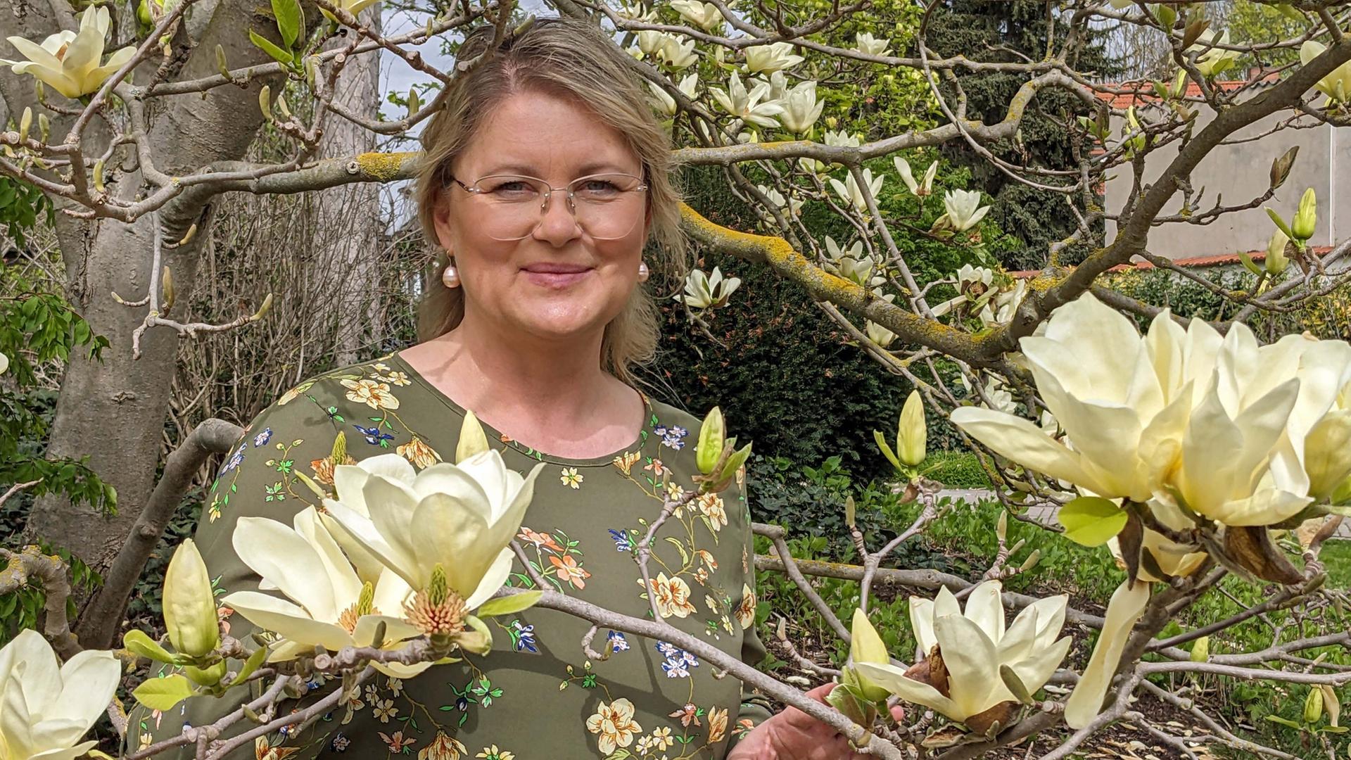Magnolien: Tolle Sorten pflanzen und pflegen