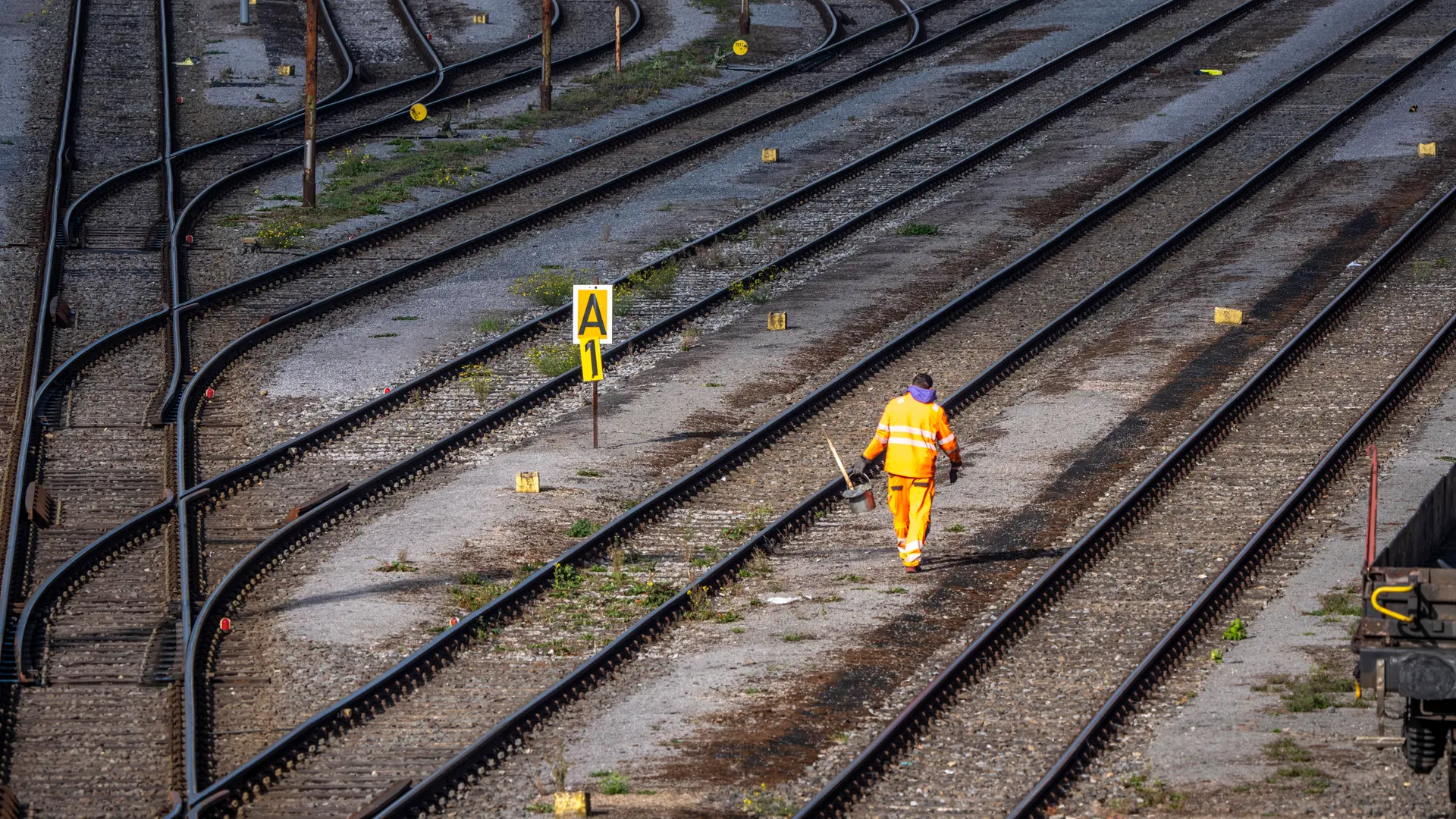 Wegfall von Regio-Bahnen wegen Trassenpreisen: Verkehrsunternehmen klagen jetzt