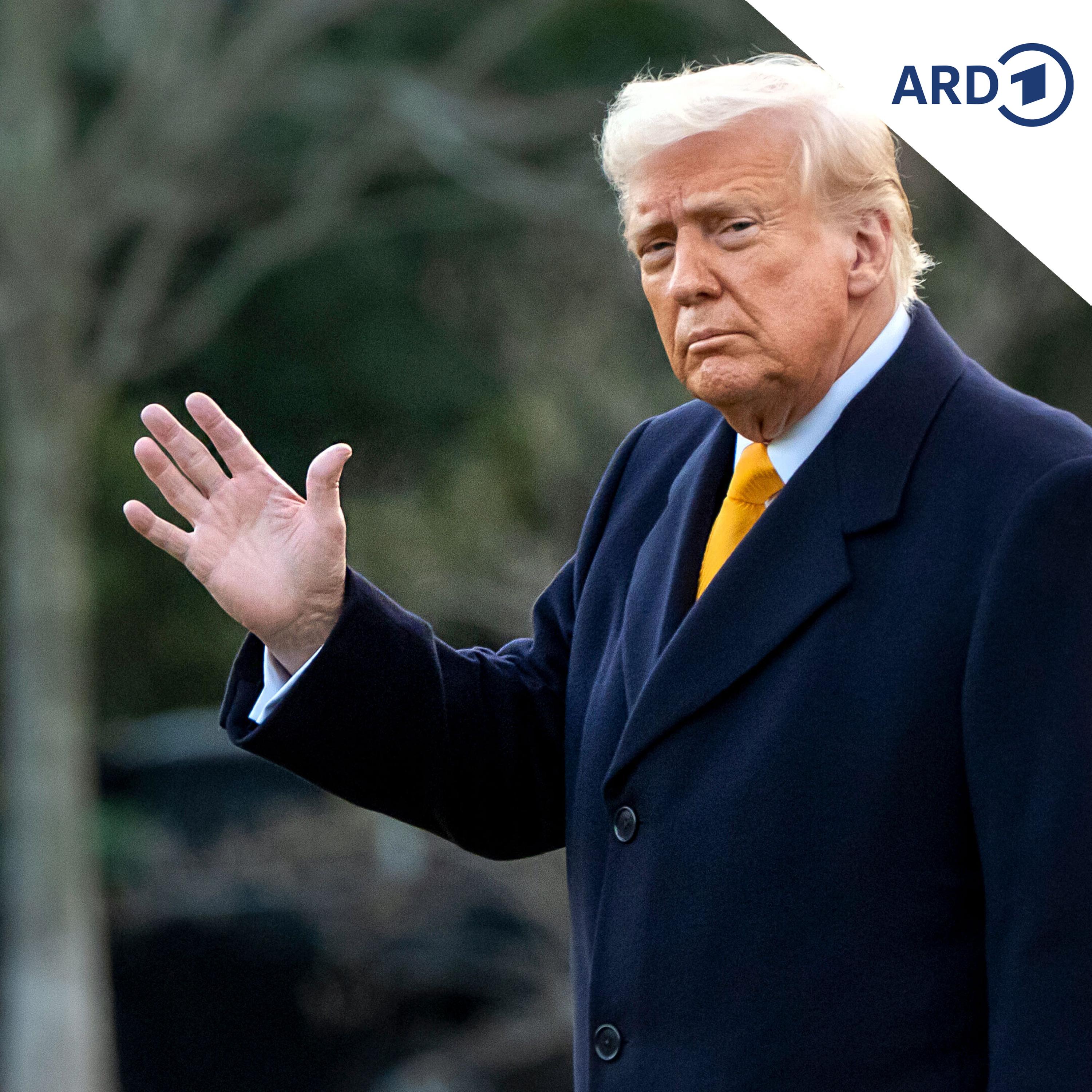 Trump: "Hoffentlich wird auch Präsident Putin zustimmen" episode artwork