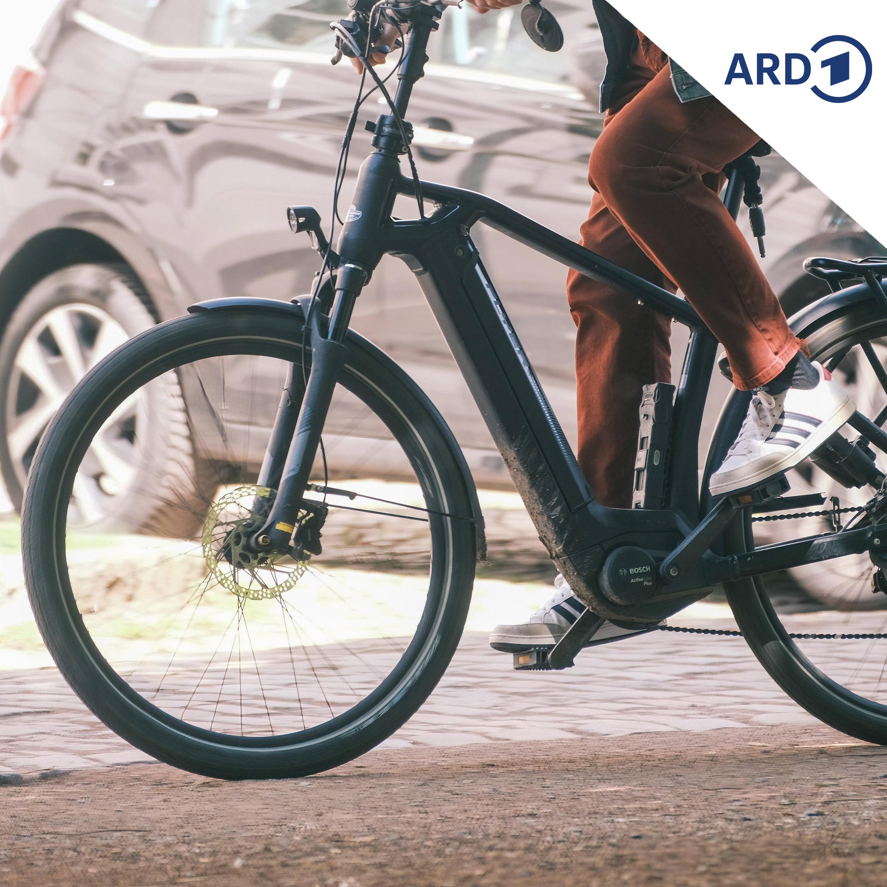 Aufgemotzte E-Bikes sorgen in Polen für Ärger episode artwork
