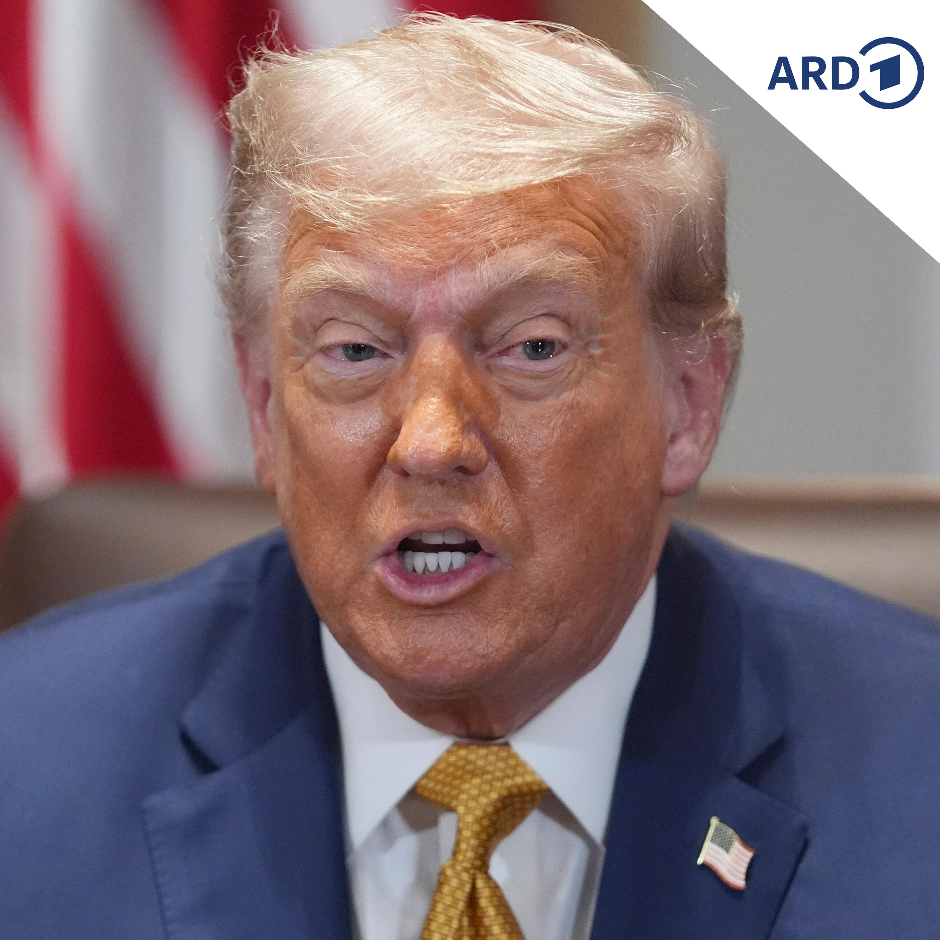 Trump genehmigt neue Waffen für die Ukraine episode artwork