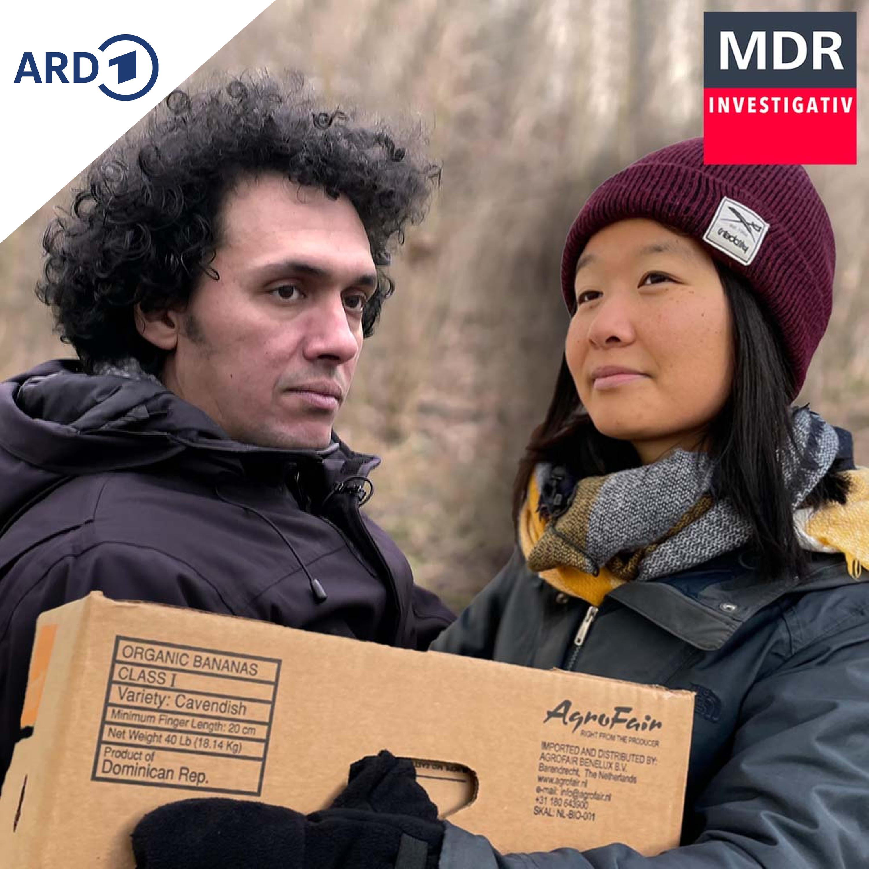 Raus aus Ostdeutschland, wenn Rassismus nicht mehr auszuhalten ist episode artwork