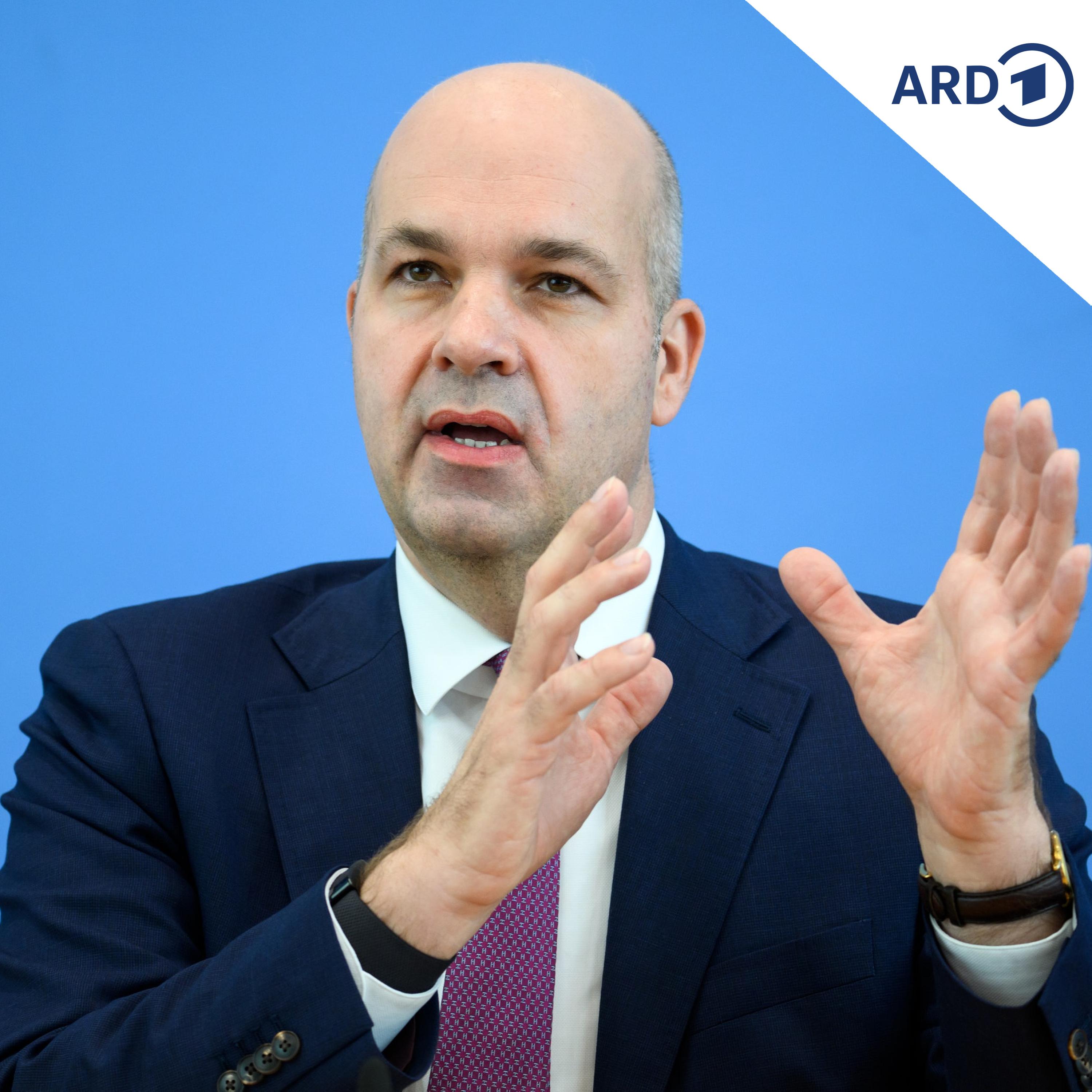 Neue Studie: Mit der AfD ginge es wirtschaftlich bergab episode artwork