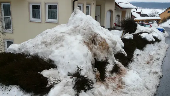 drainage topfpflanzen Drain