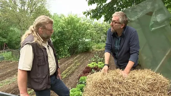 Der MDR Gartenkalender: Gartentipps fr Juni | mdr.de