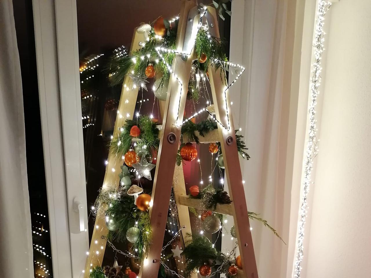 Nachhaltiger Weihnachtsbaum: Worauf muss ich achten? | mdr.de