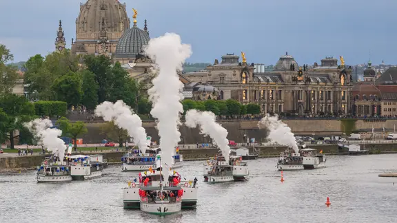 Mit dem Signal ihrer Dampfsirenen starten im Dresdner Stadtzentrum die Schiffe der Sächsischen Dampfschifffahrt zur traditionellen Riverboat-Shuffle auf der Elbe im Rahmen des 54. Internationalen Dixieland Festivals. Zur 54. Ausgabe sind 44 Bands und Solisten aus acht Ländern angereist. Geplant sind 275 Stunden Live-Musik auf 58 Bühnen.
