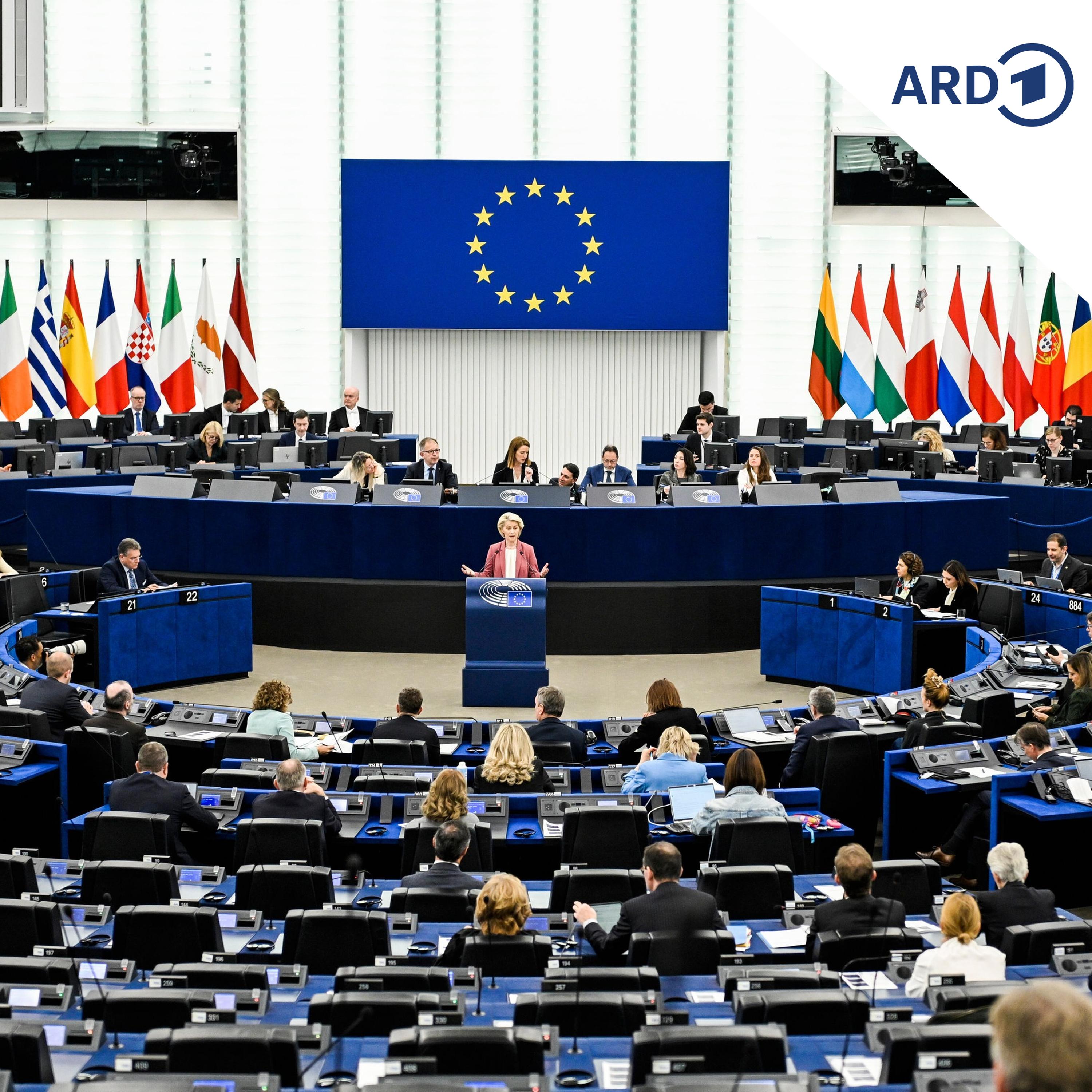 EU-Parlament: Ist die Brandmauer in Brüssel gefallen? episode artwork