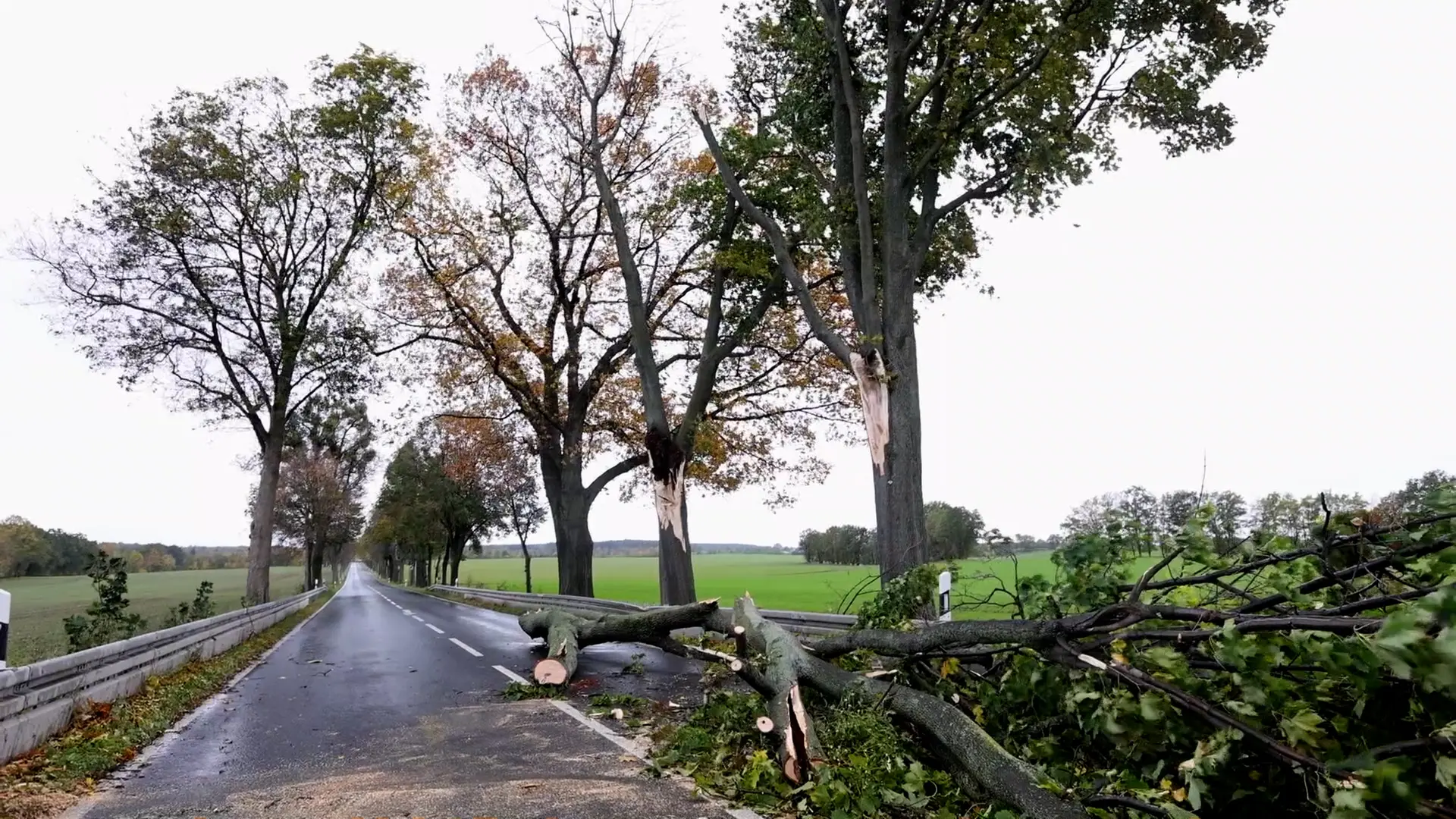 Starker Wind sorgt für Unfälle in Vogtland und Sächsischer Schweiz