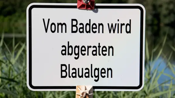 Ein Schild «Vom Baden wird abgeraten - Blaualgen» steht am Ufer eines Badesees. 