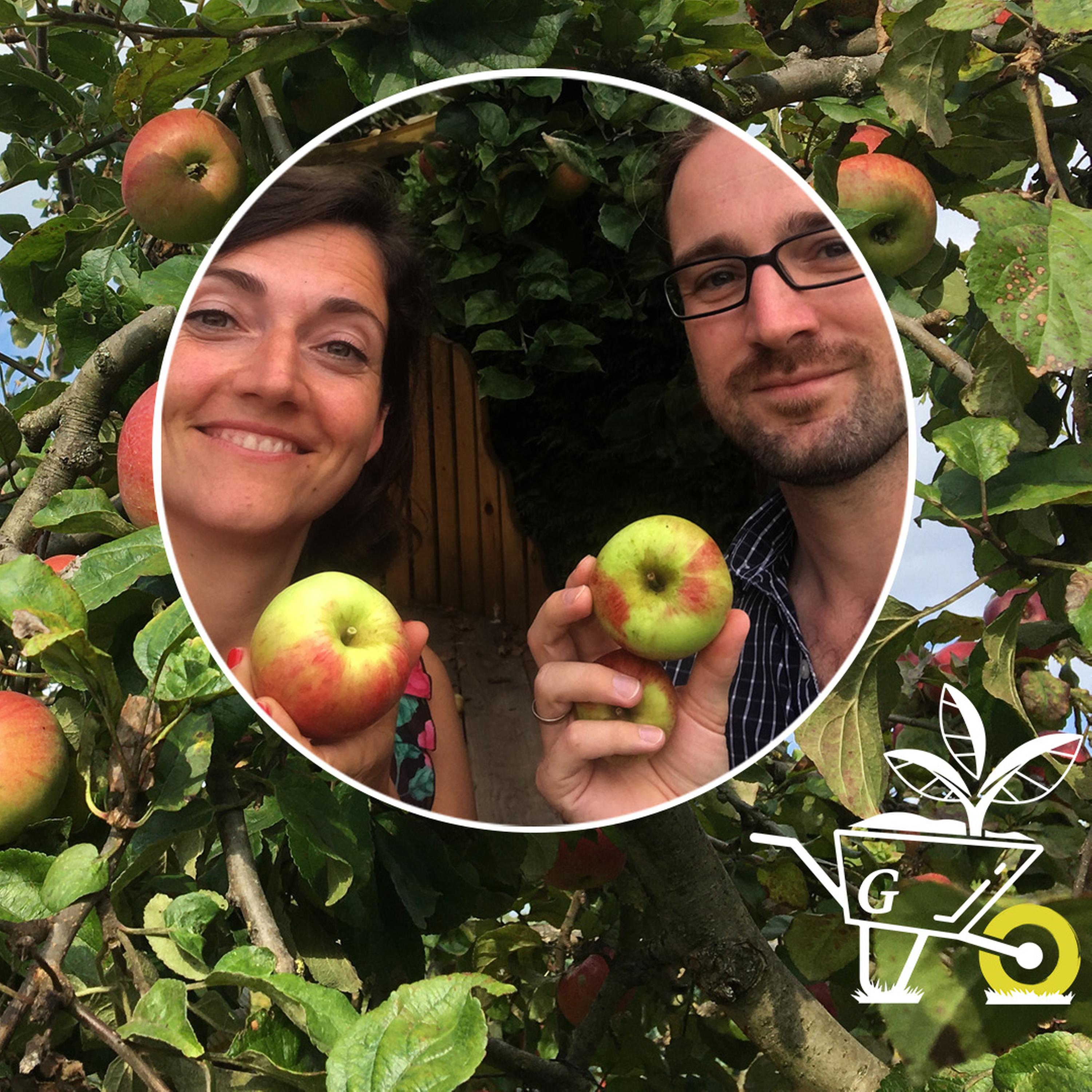 #17: Äpfel ernten und richtig lagern episode artwork