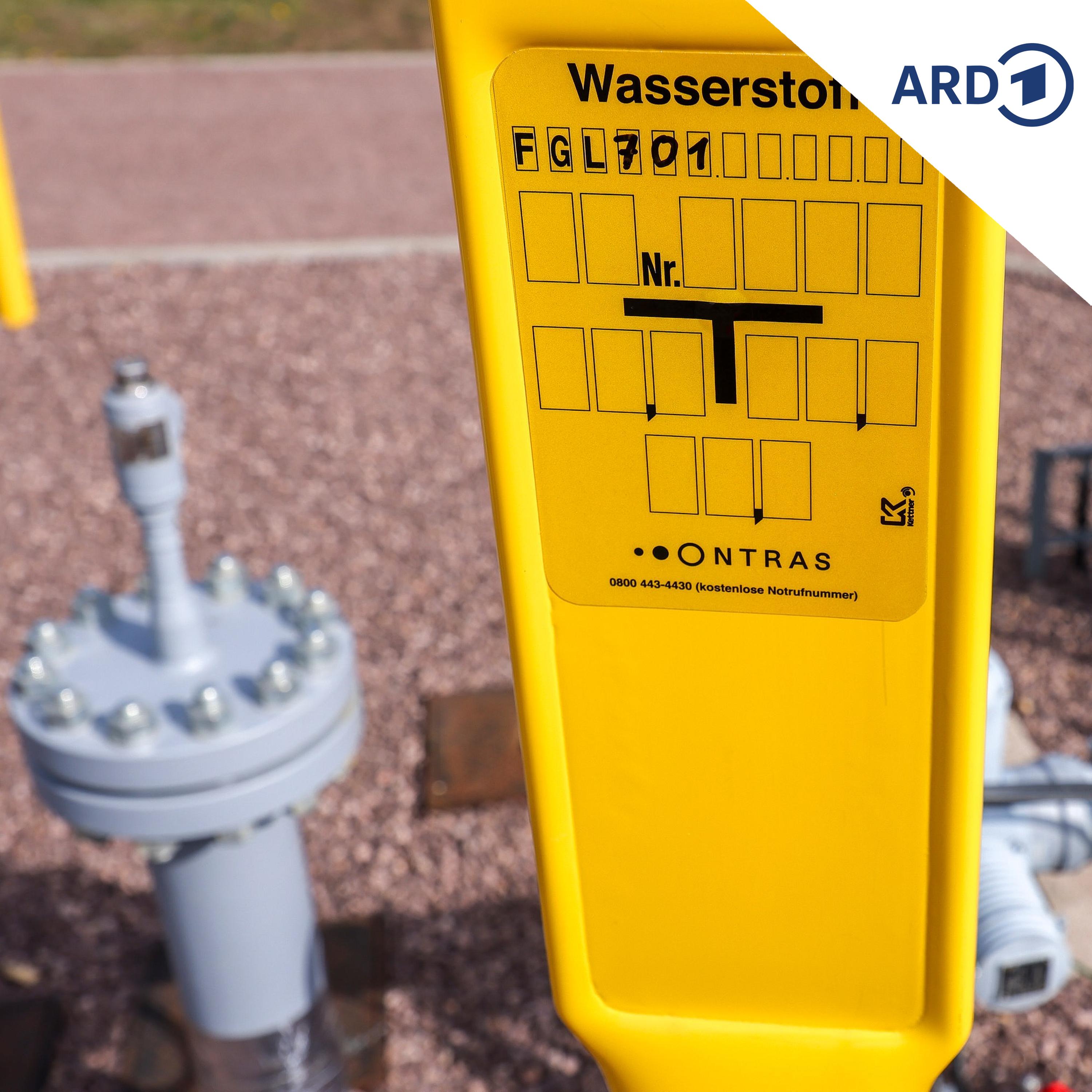 Energiekrise: Das Interesse an grünem Wasserstoff steigt wieder episode artwork