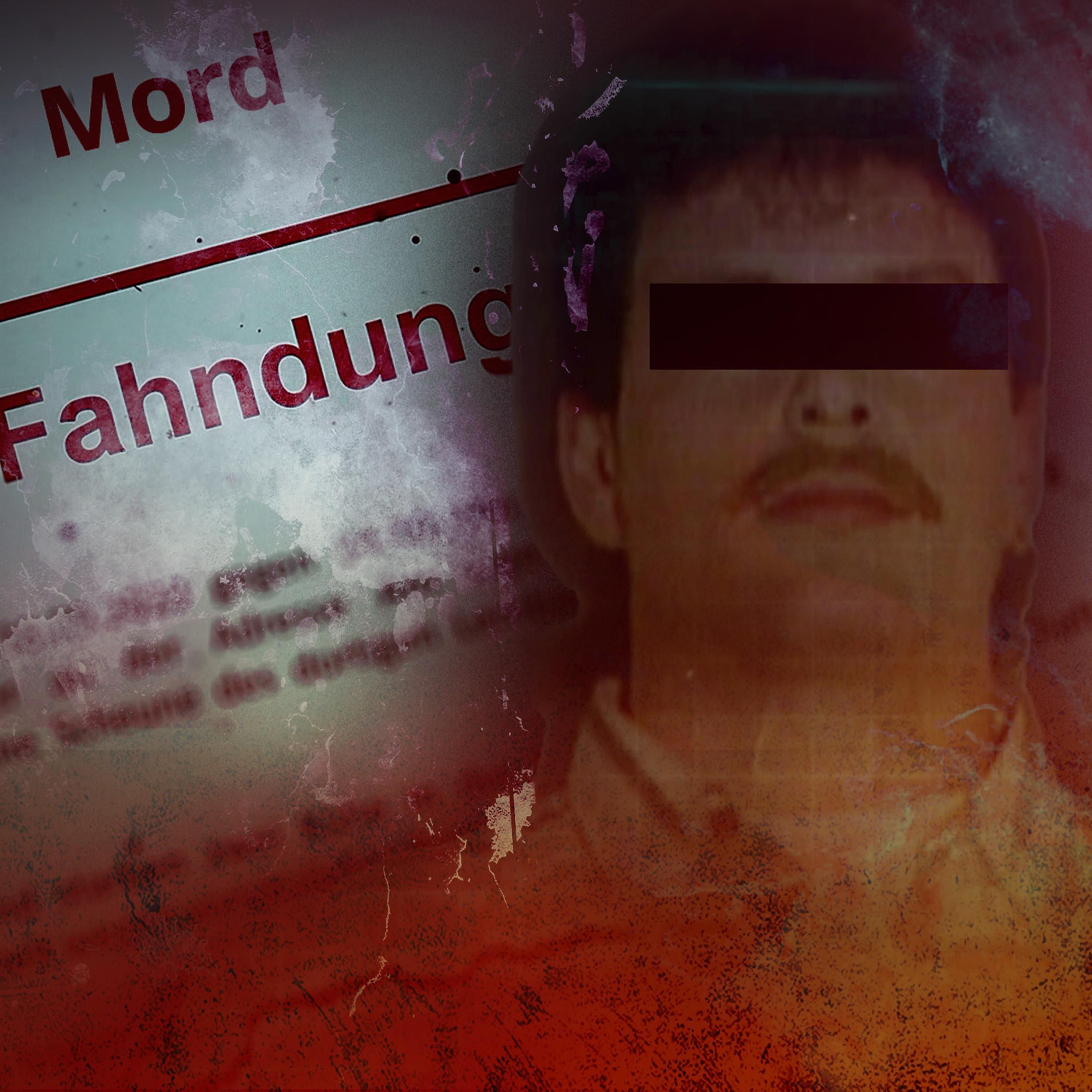 Der Zugmörder – Wenn Polizei um Hilfe bittet episode artwork