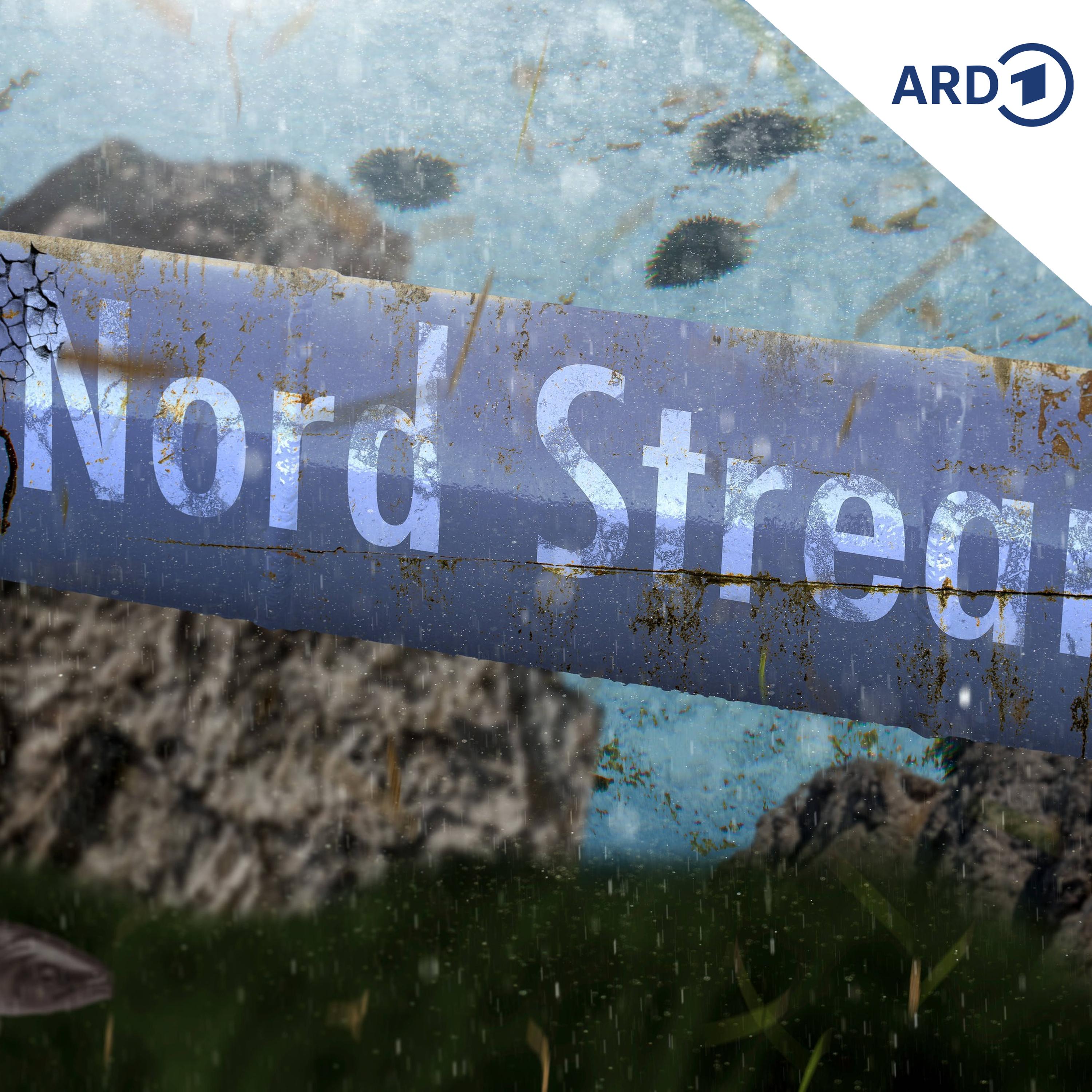 Alle Nordstream-Saboteure identifiziert episode artwork