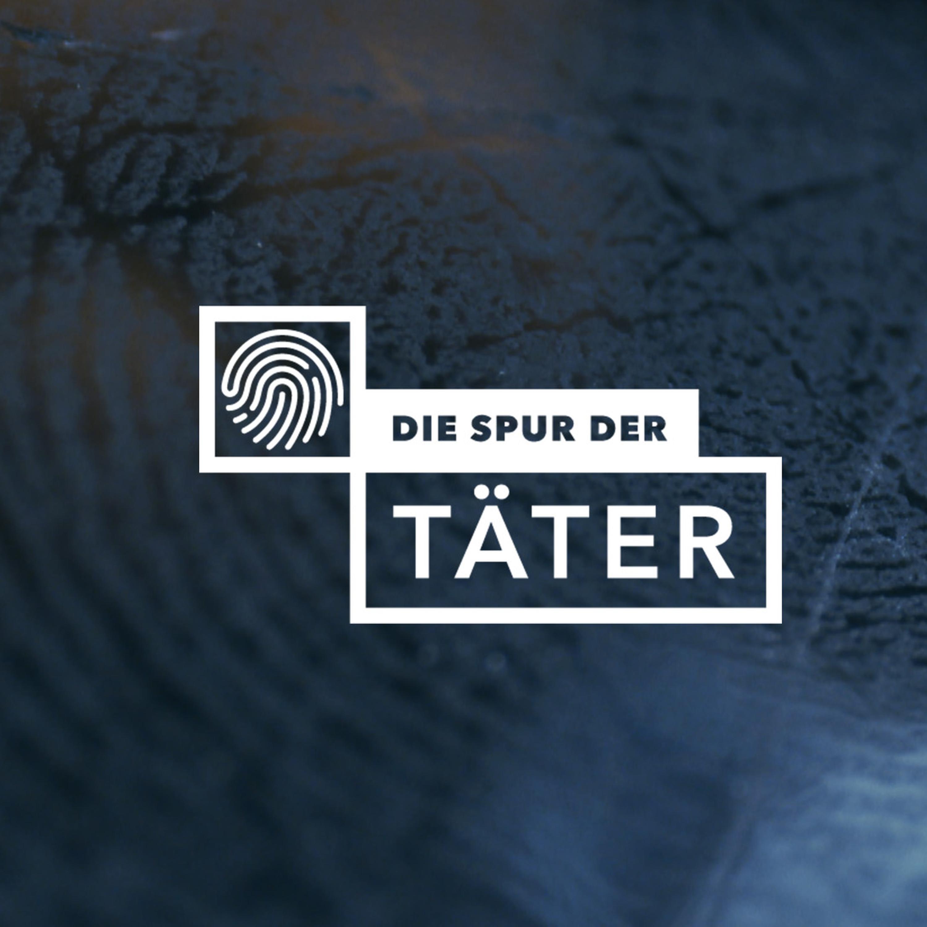 Der ungeklärte Mord an einer Joggerin in Halle episode artwork