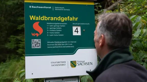 Nach Waldbrand in Sächsischer Schweiz: Bewährung und Freisprüche für Shisha-Raucher