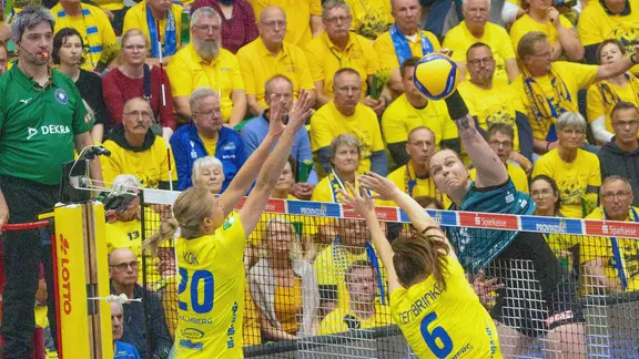 Dresdner SC holt kanadische Nationalspielerin als Nestler-Ersatz