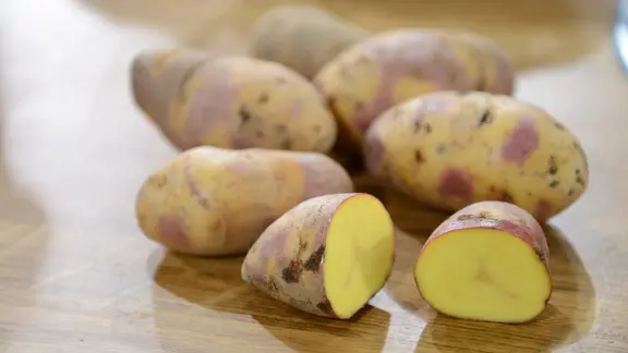 Kartoffeln pflanzen, pflegen, ernten und lagern | mdr.de