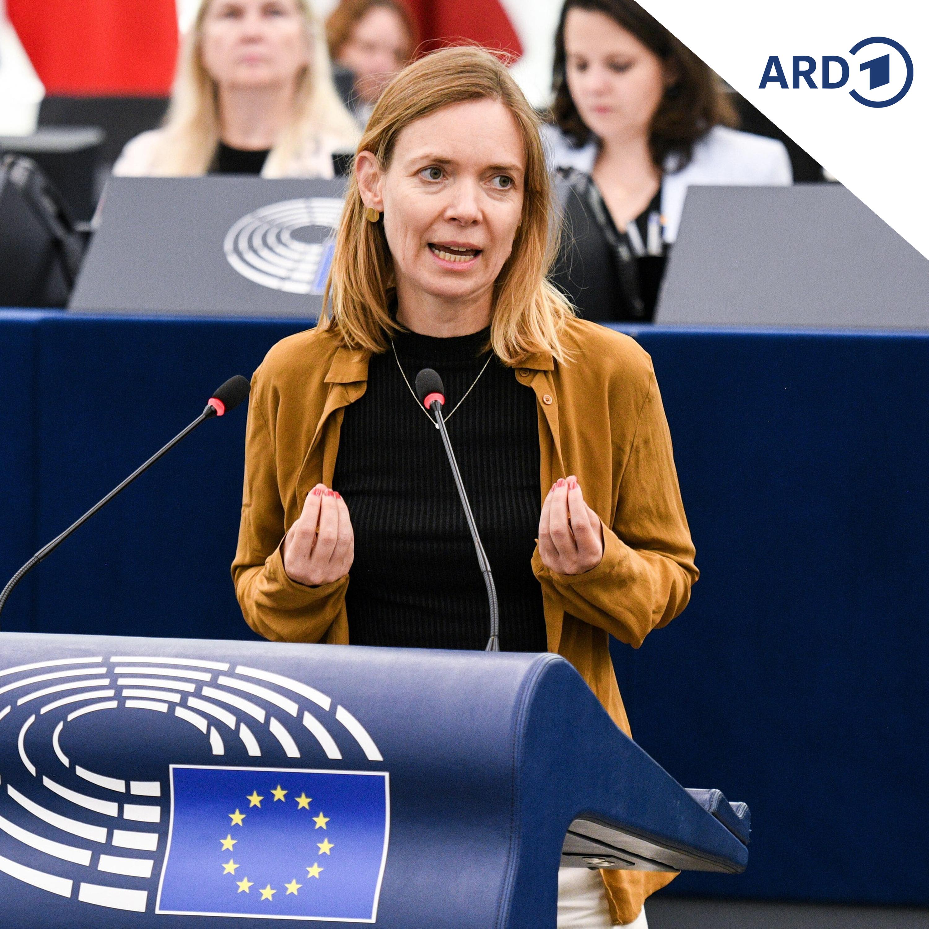 Cavazzini: EU-Fördergelder direkt an Regionen verteilen episode artwork