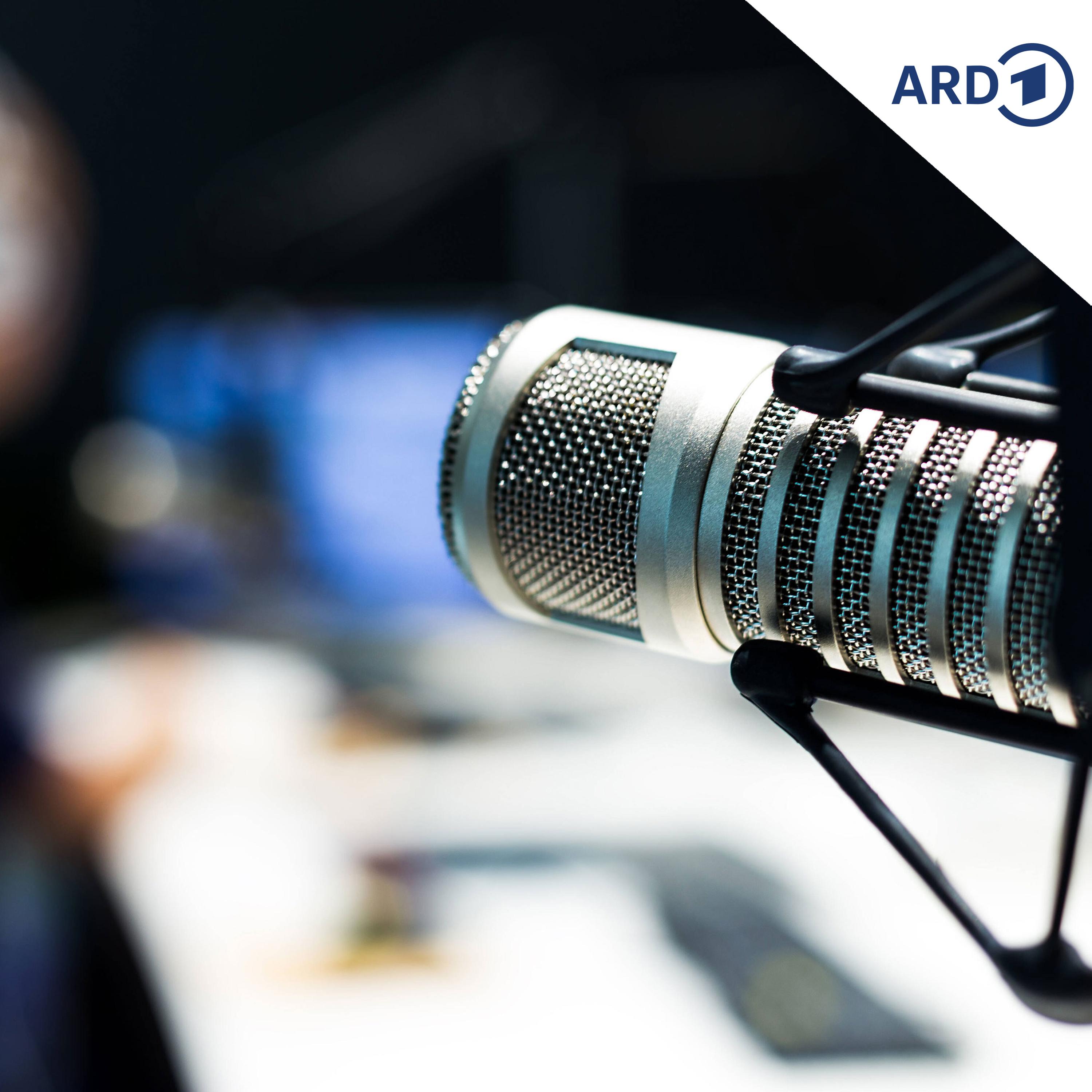 KI-Radio in Krakau wird zum Flop episode artwork