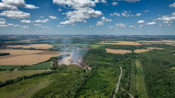 Rauchwolken steigen über einem Waldstück auf.