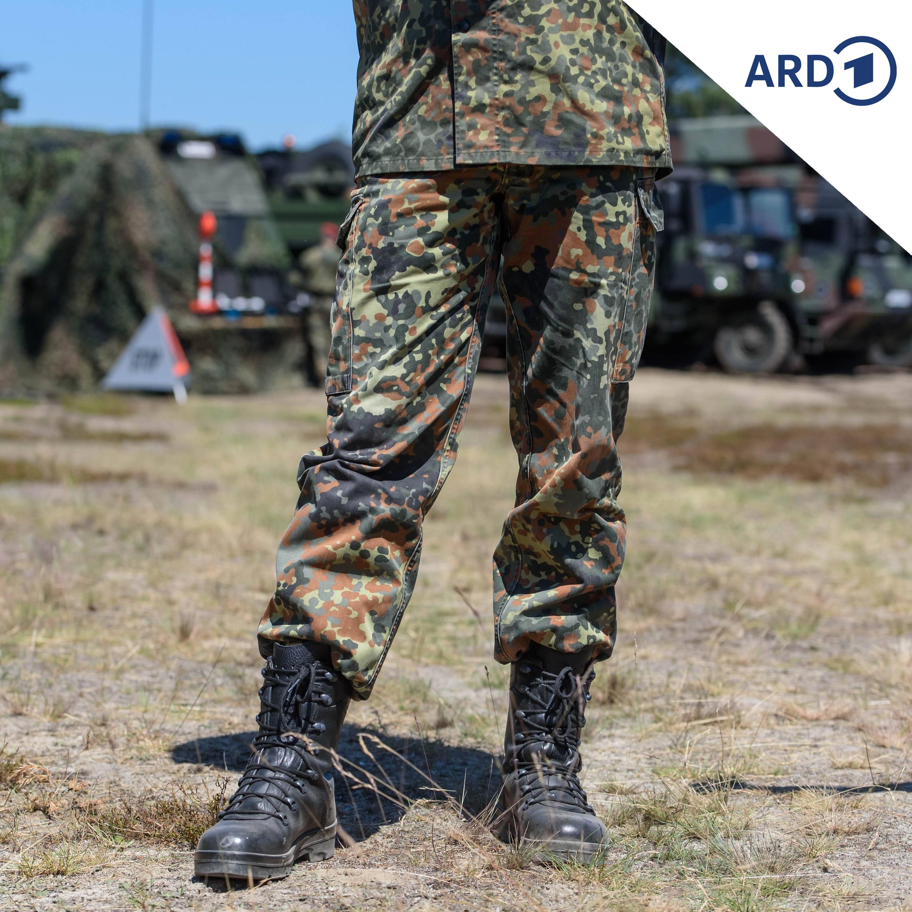 Warum der Ausbau der Bundeswehr-Reserve stockt episode artwork