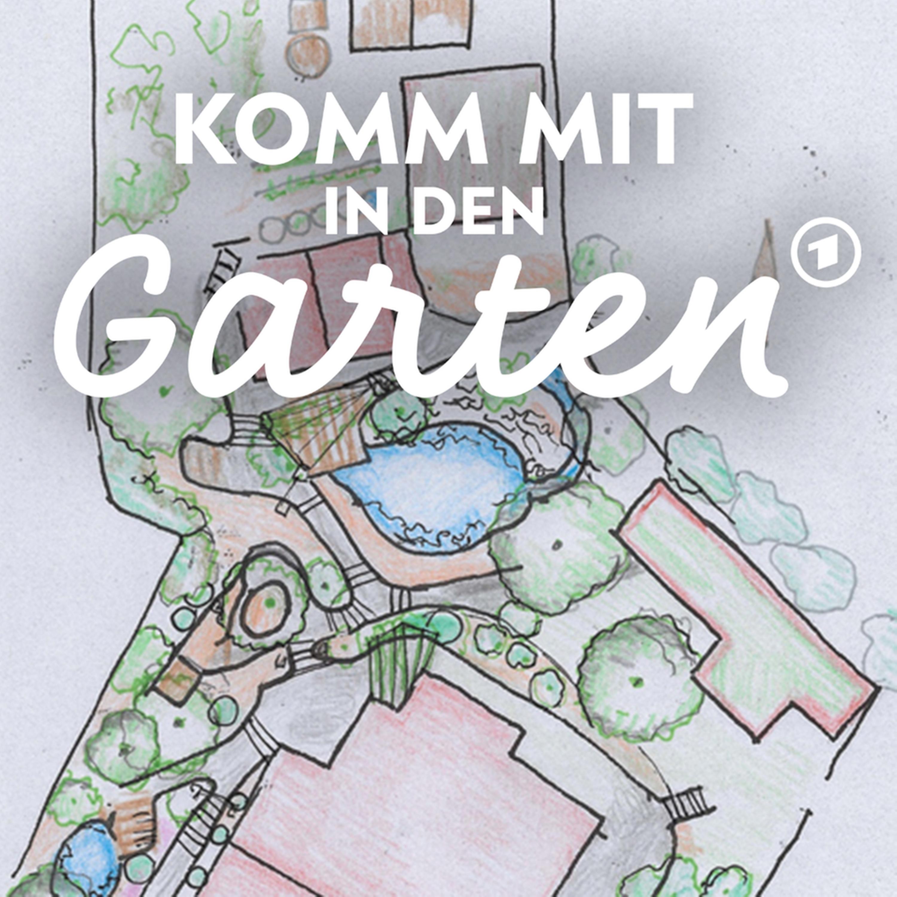 Tipps rund um die Gartenplanung episode artwork