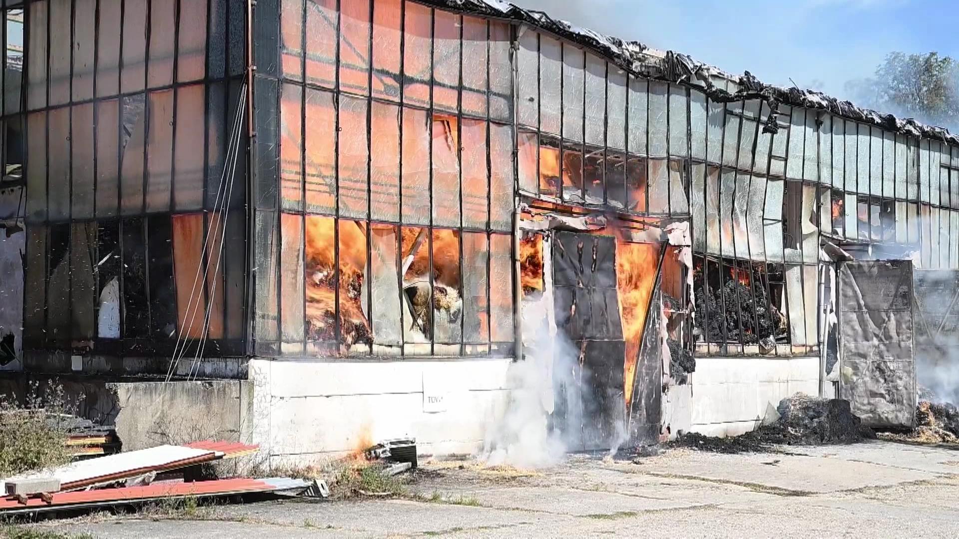 Lagerhalle mit 3.000 Strohballen in Pegau in Flammen
