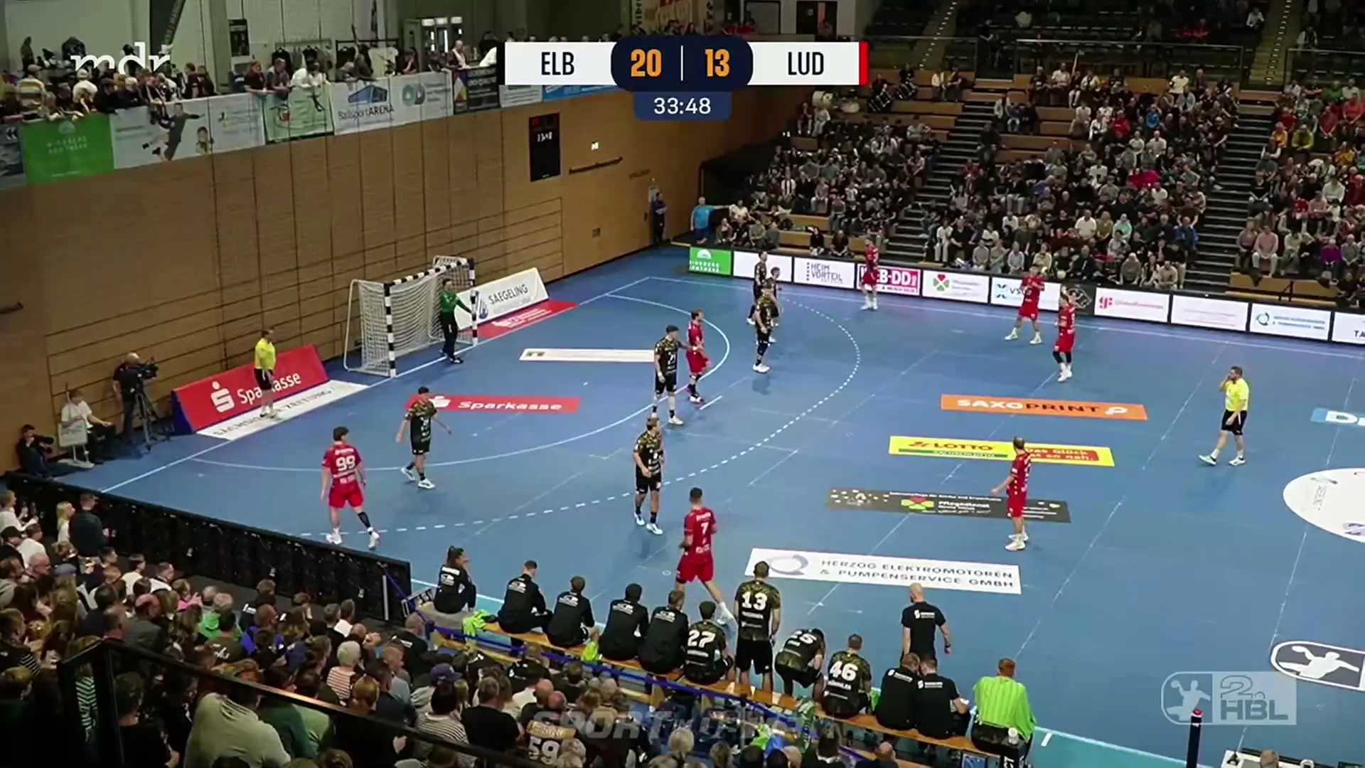 Handball live: HC Elbflorenz - Die Eulen Ludwigshafen | mdr.de