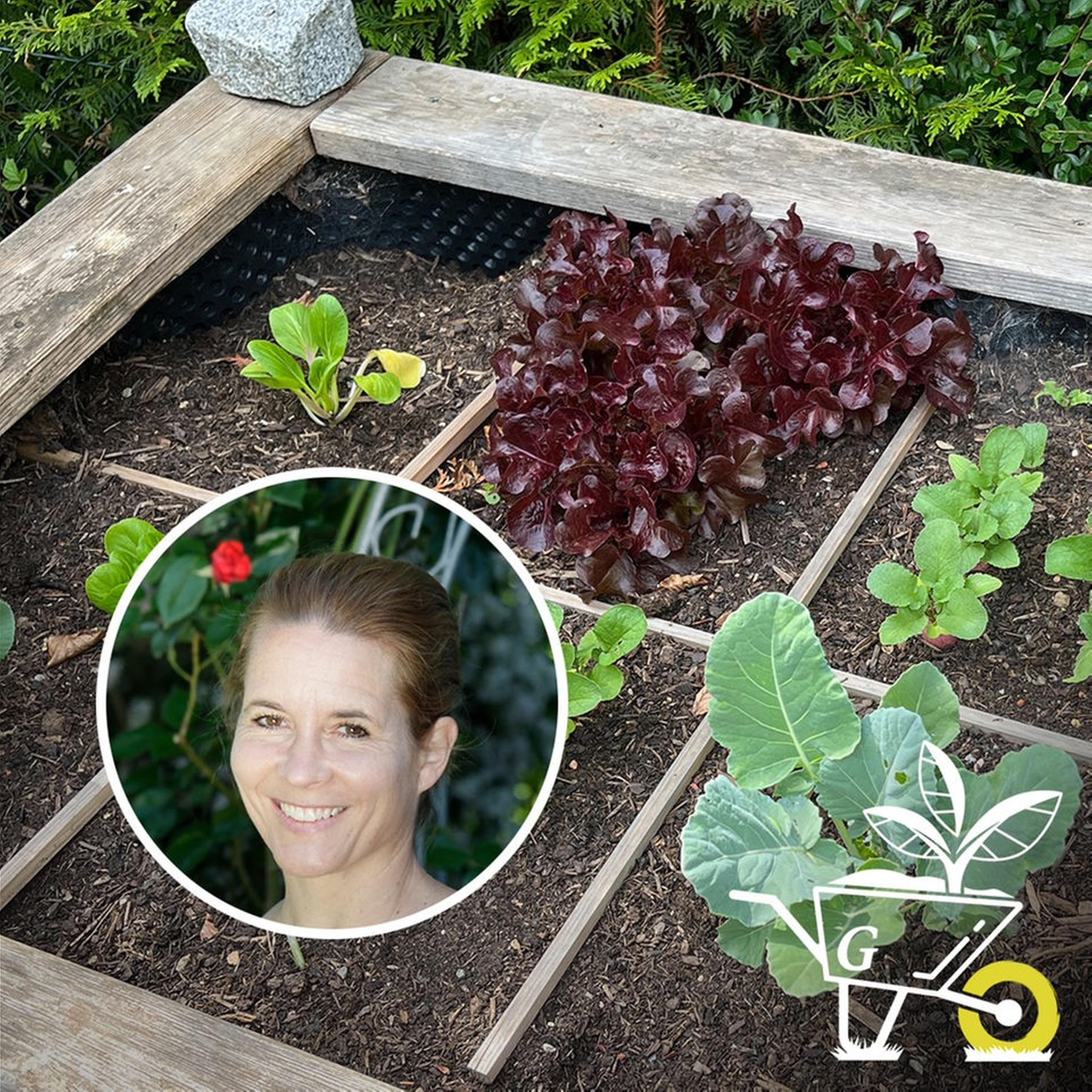 #64: Gärtnern im Quadrat - Square Foot Gardening episode artwork