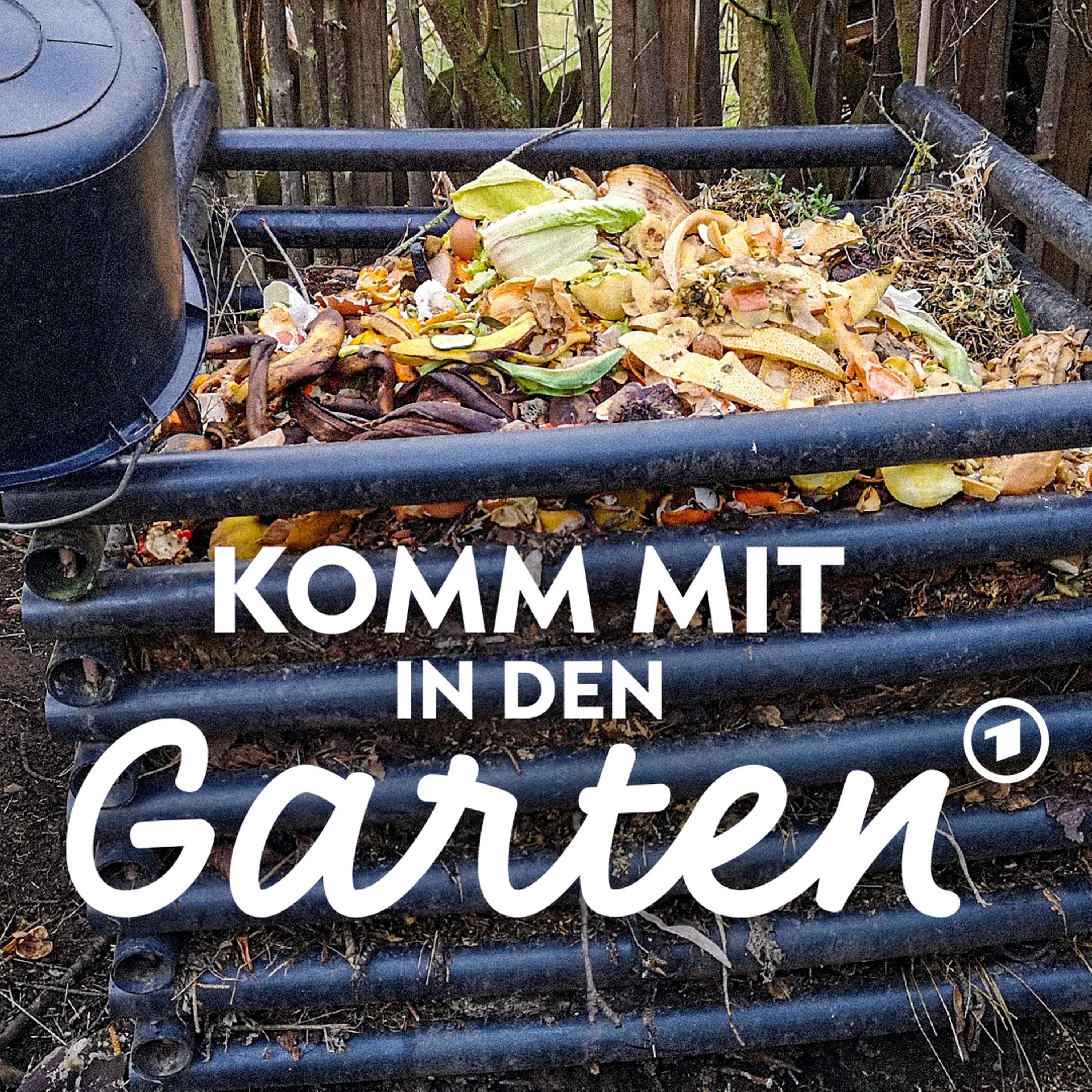 So legst Du einen Kompost an episode artwork