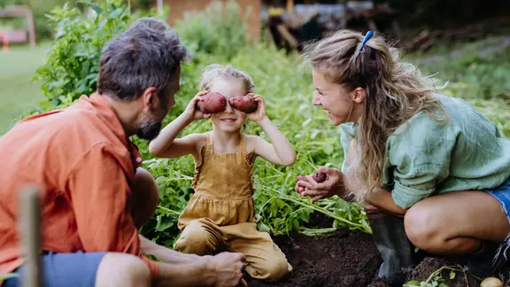 Ein Mann, eine Frau und ein kleines Kind knien gemeinsam in einem Gartenbeet. Das Kind hält zwei Kartoffeln vor die Augen, die Eltern sind ihm zugewandt. Idyllisches Umfeld in der Vorstadt oder auf einem Grundstück auf dem Land.