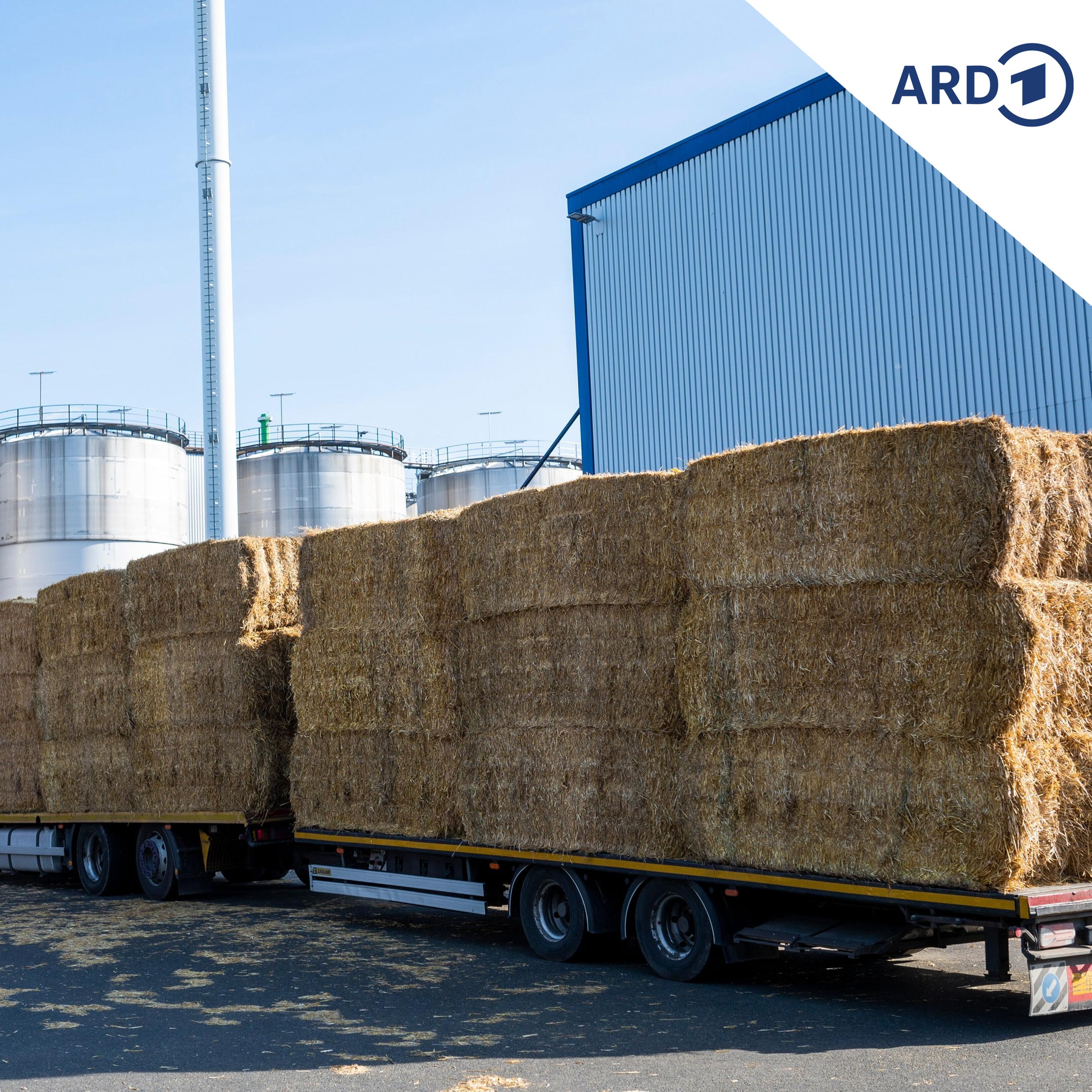 Neues Heizungsgesetz: Ostdeutsche Biogas-Produzenten zufrieden episode artwork