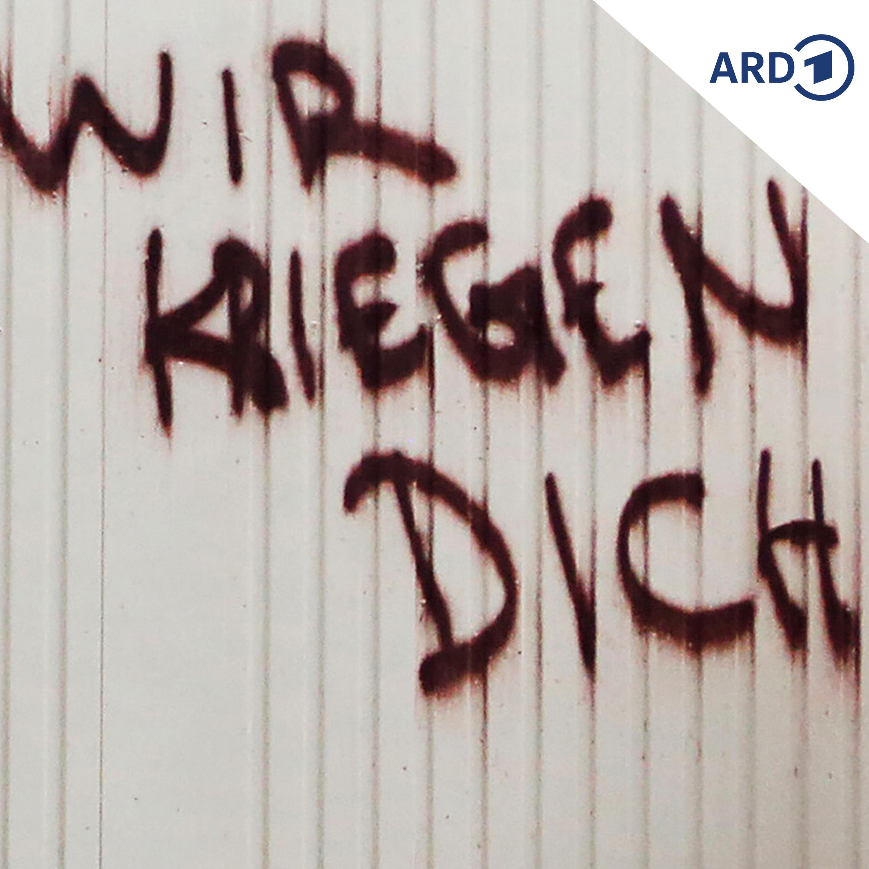 Eingeschlagene Scheiben, Hassmails - Angriffe auf Politiker nehmen zu episode artwork